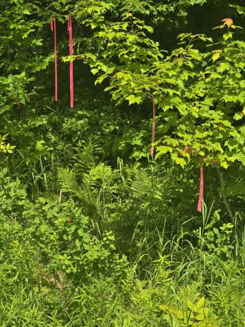 00 Oliver Hill Road Garland ME 04939