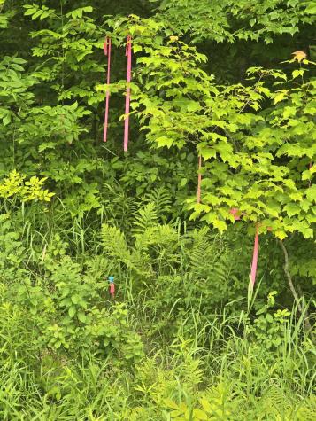 00 Oliver Hill Road Garland ME 04939