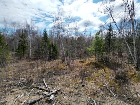 Lot 46i-2 Merriman Road Island Falls ME 04747