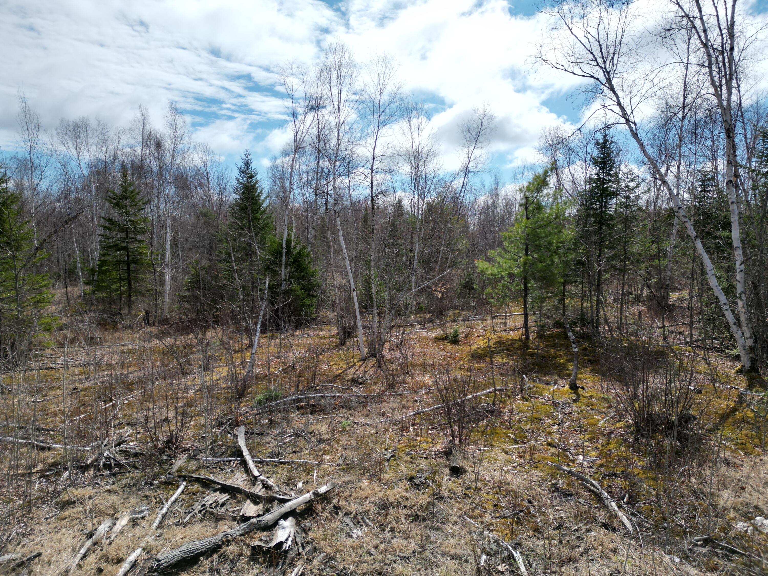 Lot 46i-2 Merriman Road Island Falls ME 04747