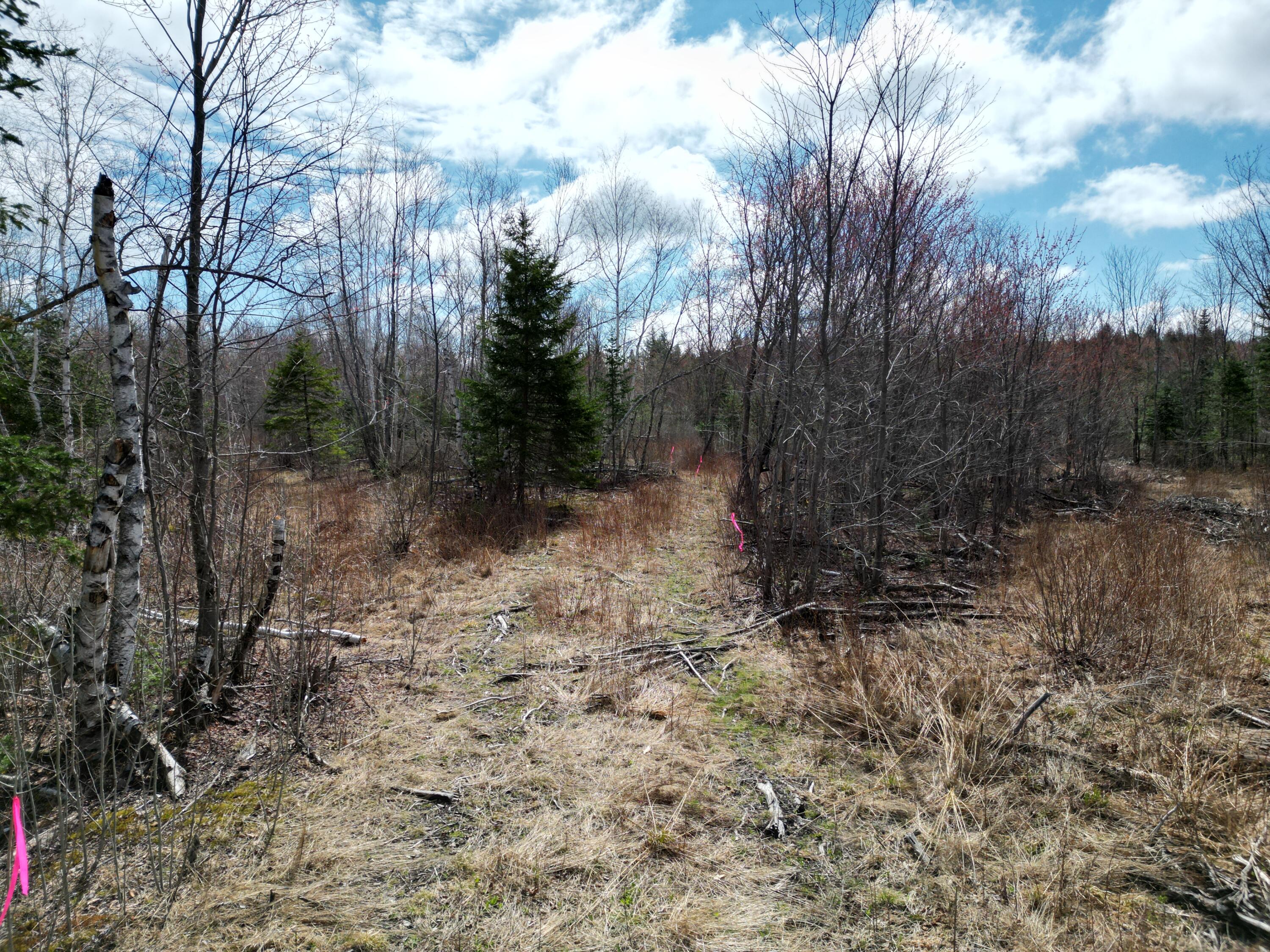Lot 46i-2 Merriman Road Island Falls ME 04747