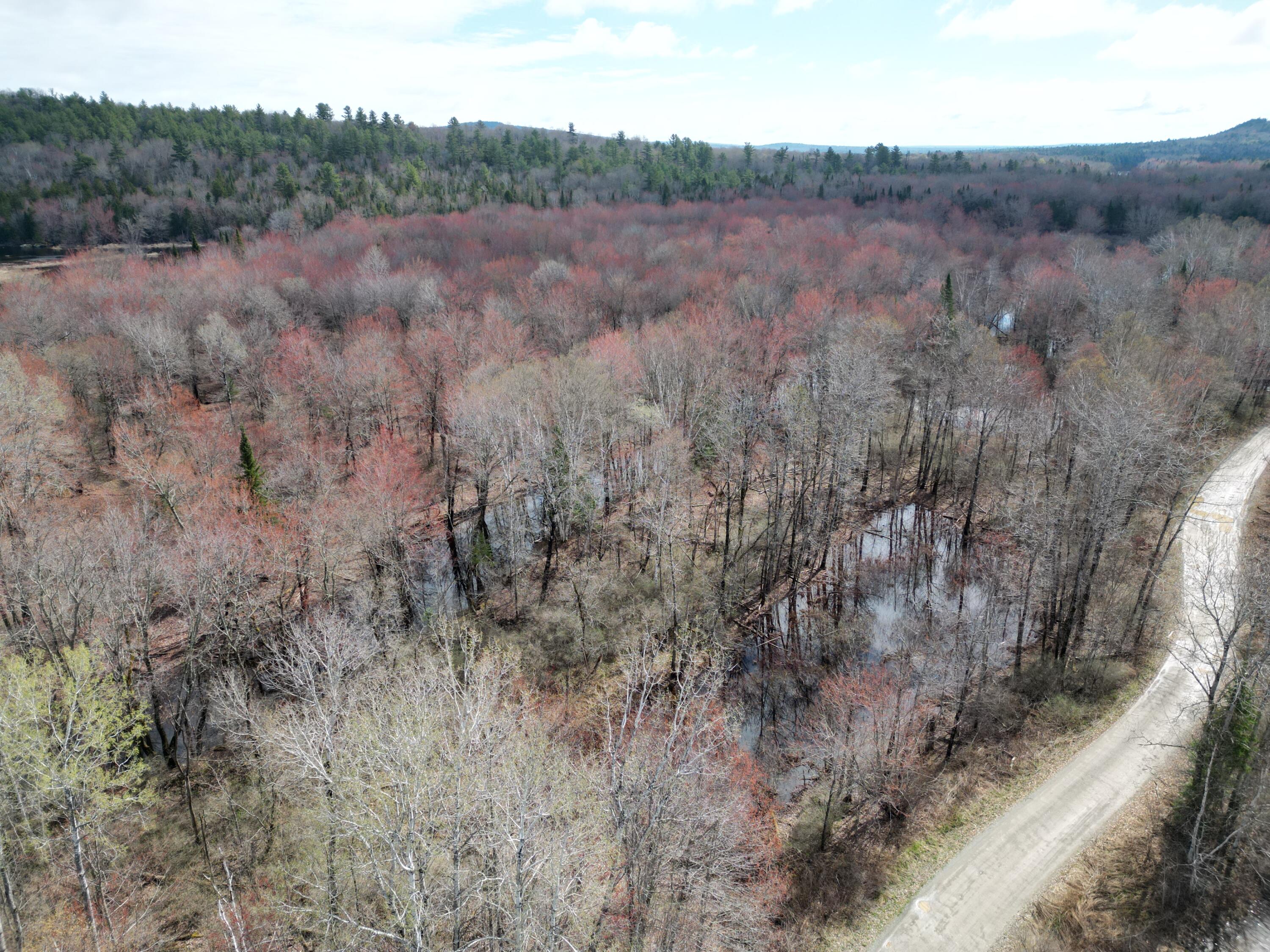 Lot 46i-2 Merriman Road Island Falls ME 04747