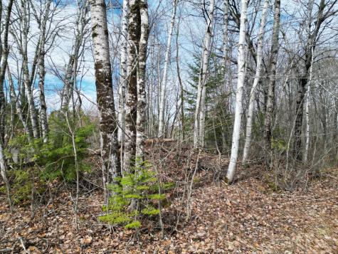 Lot 46i-2 Merriman Road Island Falls ME 04747