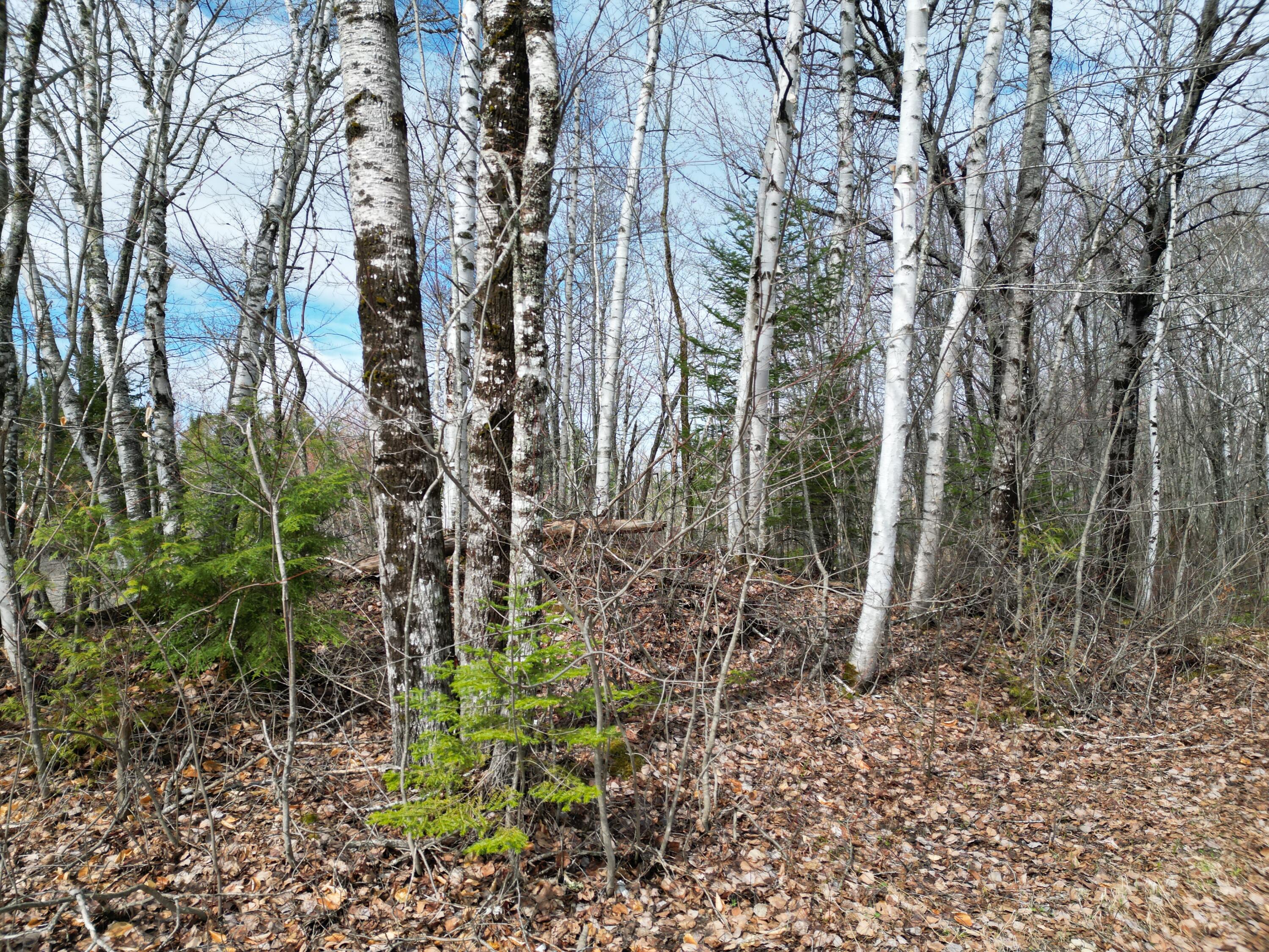 Lot 46i-2 Merriman Road Island Falls ME 04747