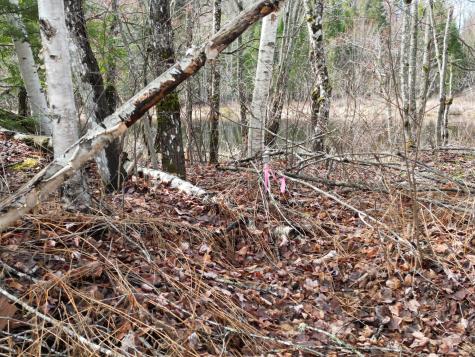 Lot 46i-2 Merriman Road Island Falls ME 04747