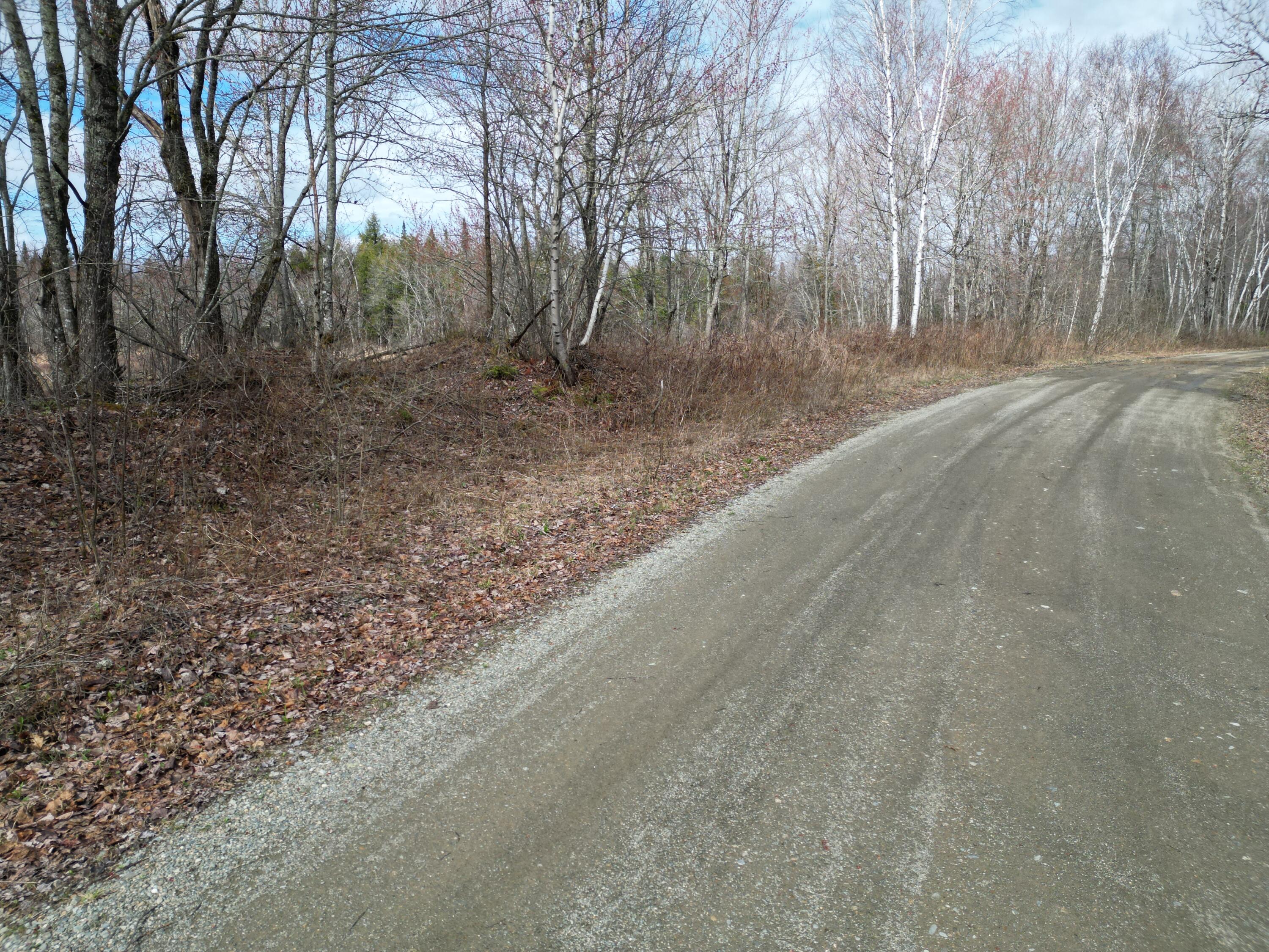 Lot 46i-2 Merriman Road Island Falls ME 04747