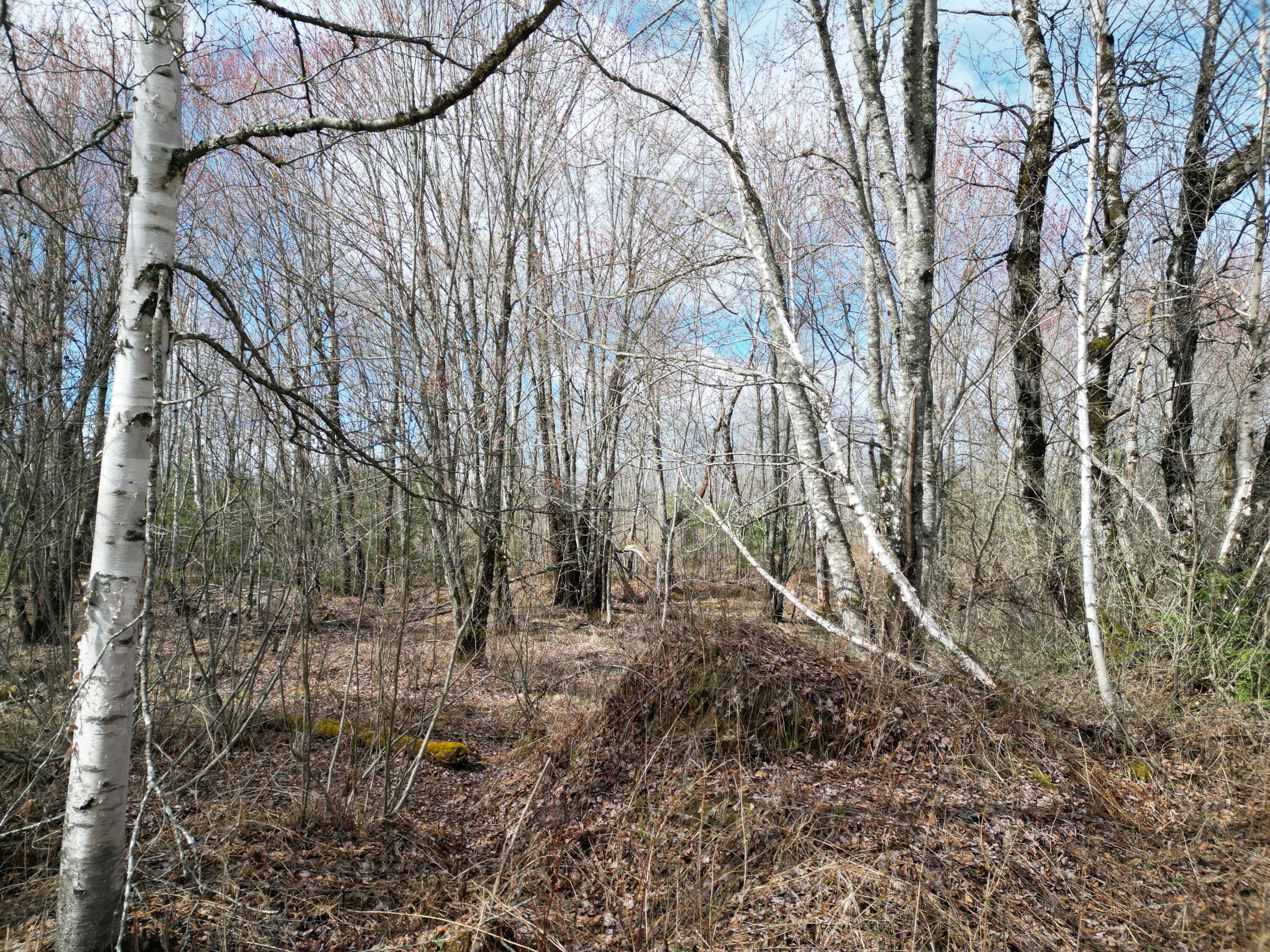 Lot 46i-2 Merriman Road Island Falls ME 04747