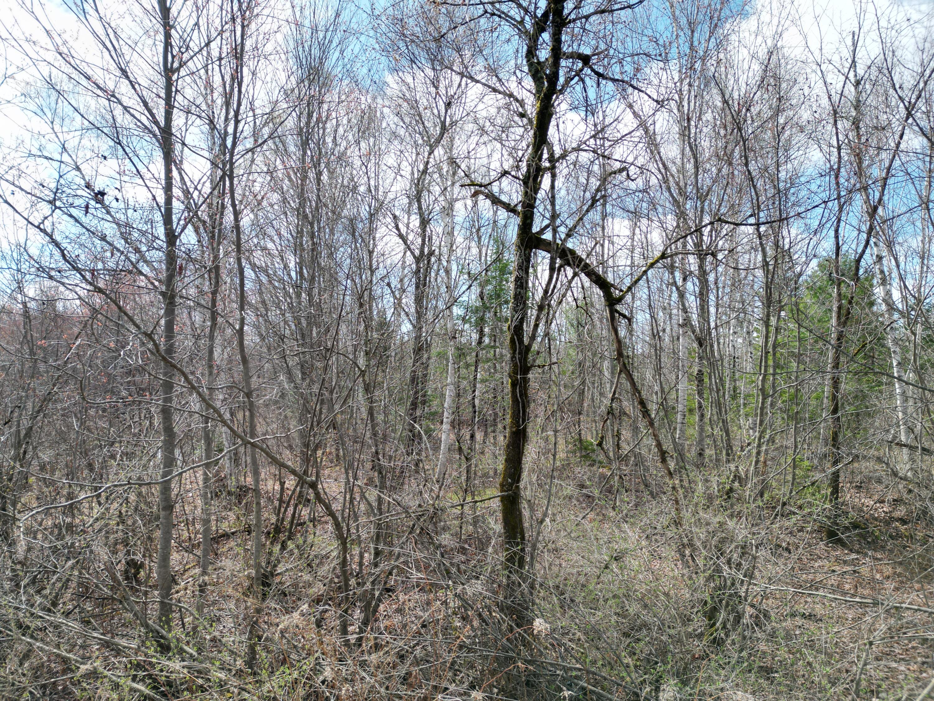 Lot 46i-2 Merriman Road Island Falls ME 04747