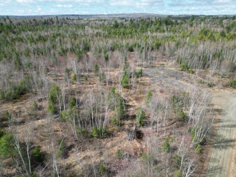 Lot 46i-2 Merriman Road Island Falls ME 04747