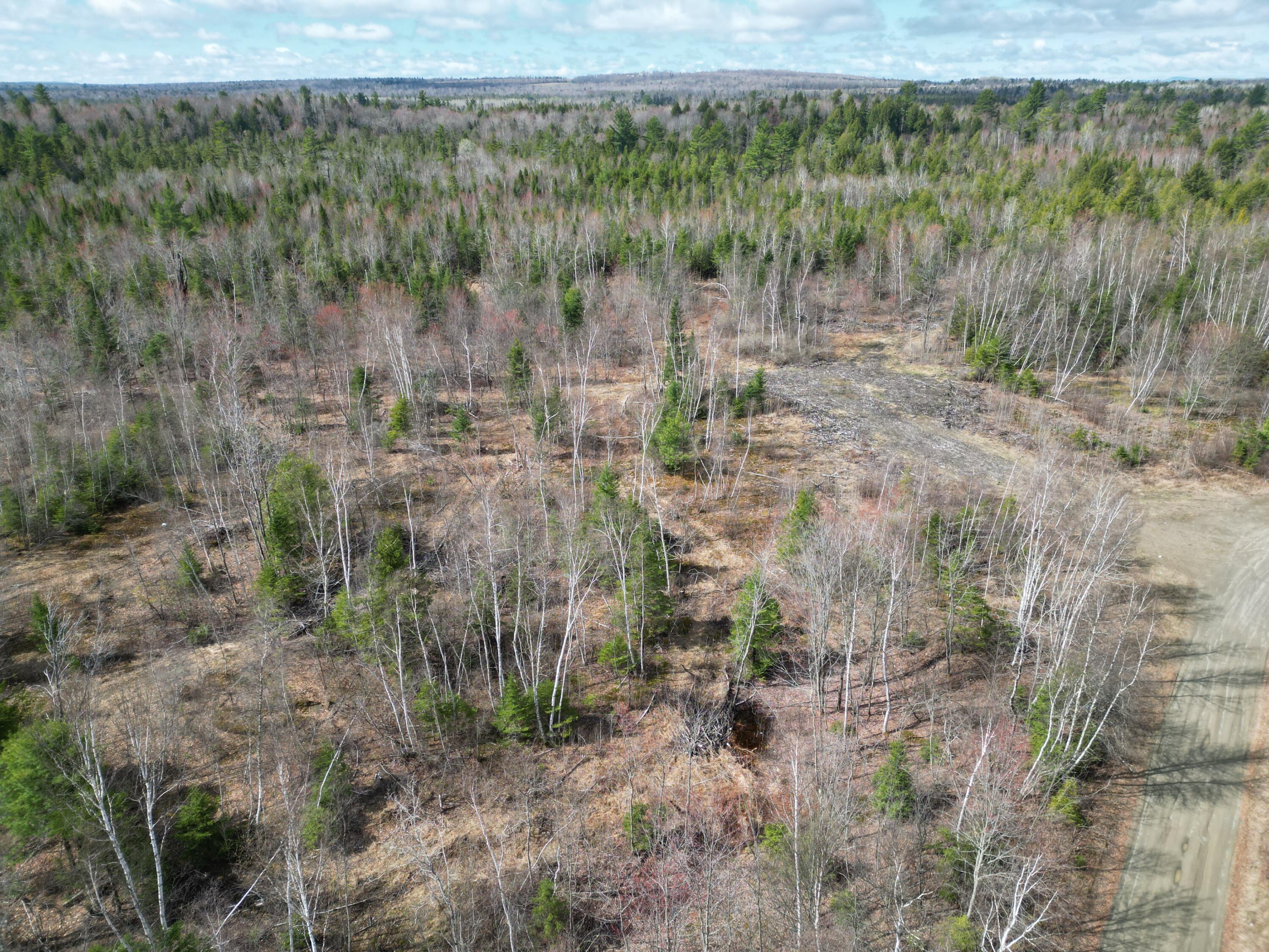 Lot 46i-2 Merriman Road Island Falls ME 04747