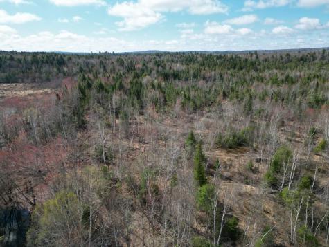 Lot 46i-2 Merriman Road Island Falls ME 04747