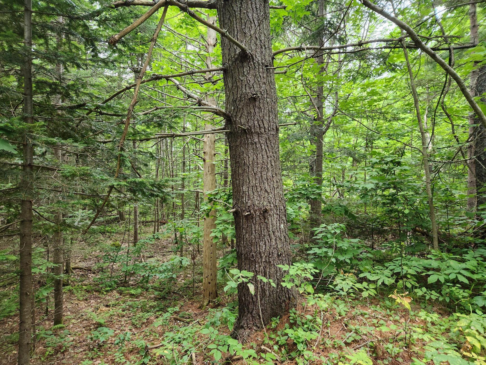 2851 Friendship Road Waldoboro ME 04572
