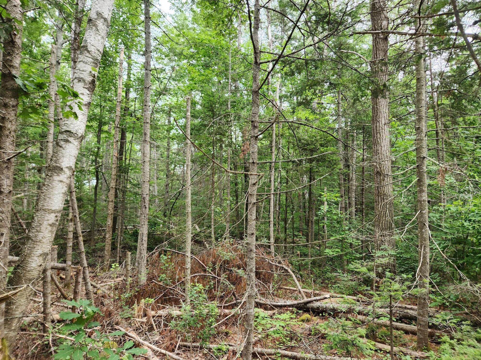 2851 Friendship Road Waldoboro ME 04572