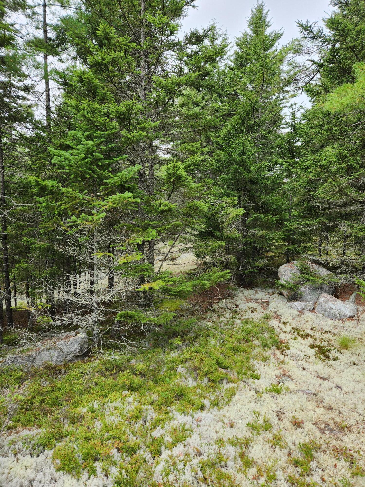 2851 Friendship Road Waldoboro ME 04572