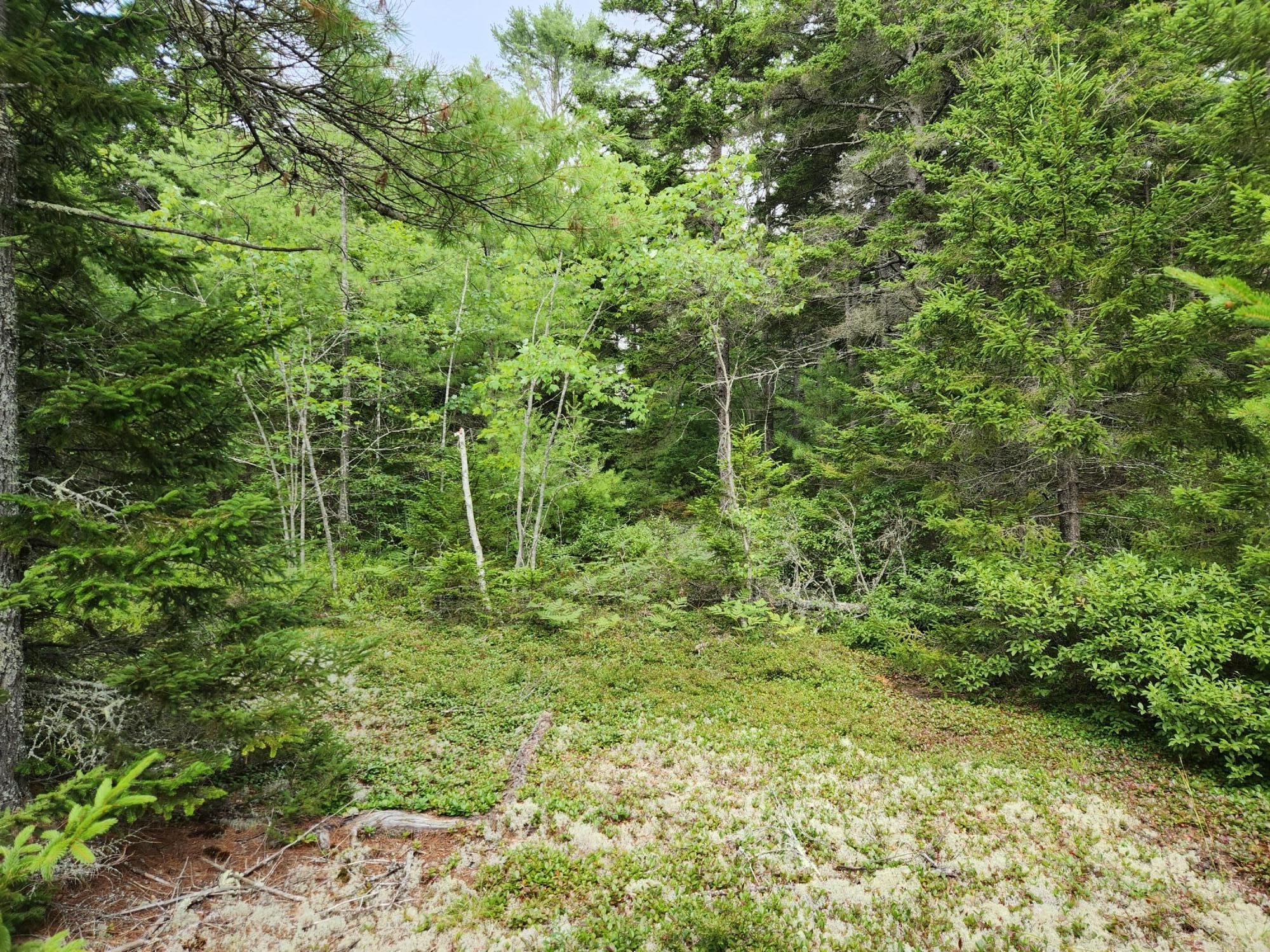 2851 Friendship Road Waldoboro ME 04572