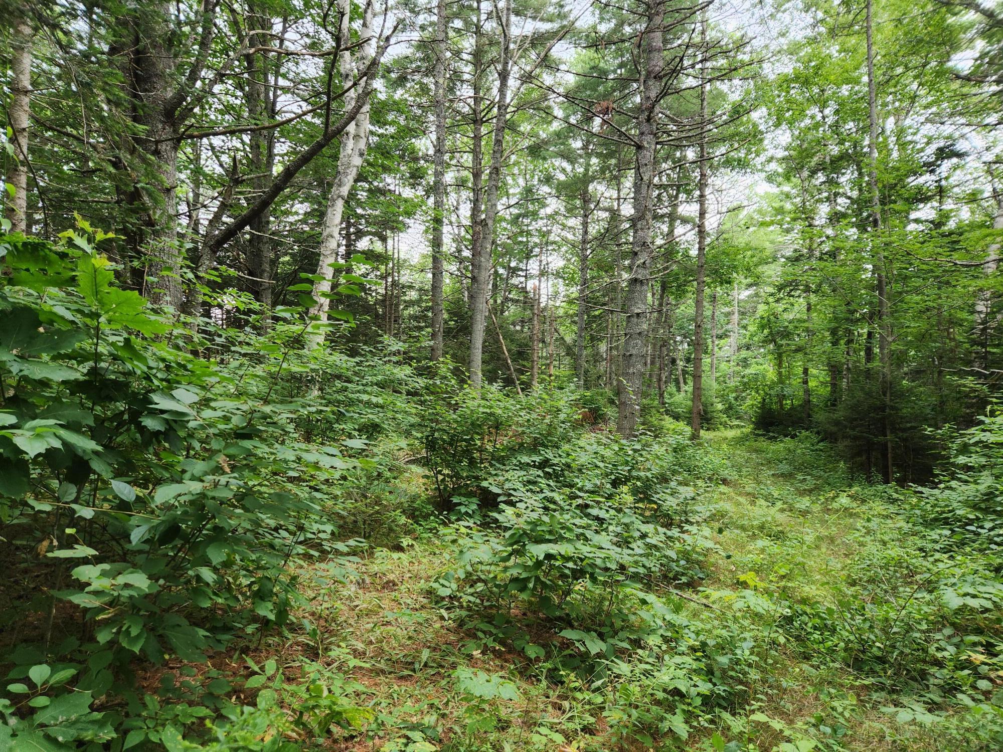 2851 Friendship Road Waldoboro ME 04572