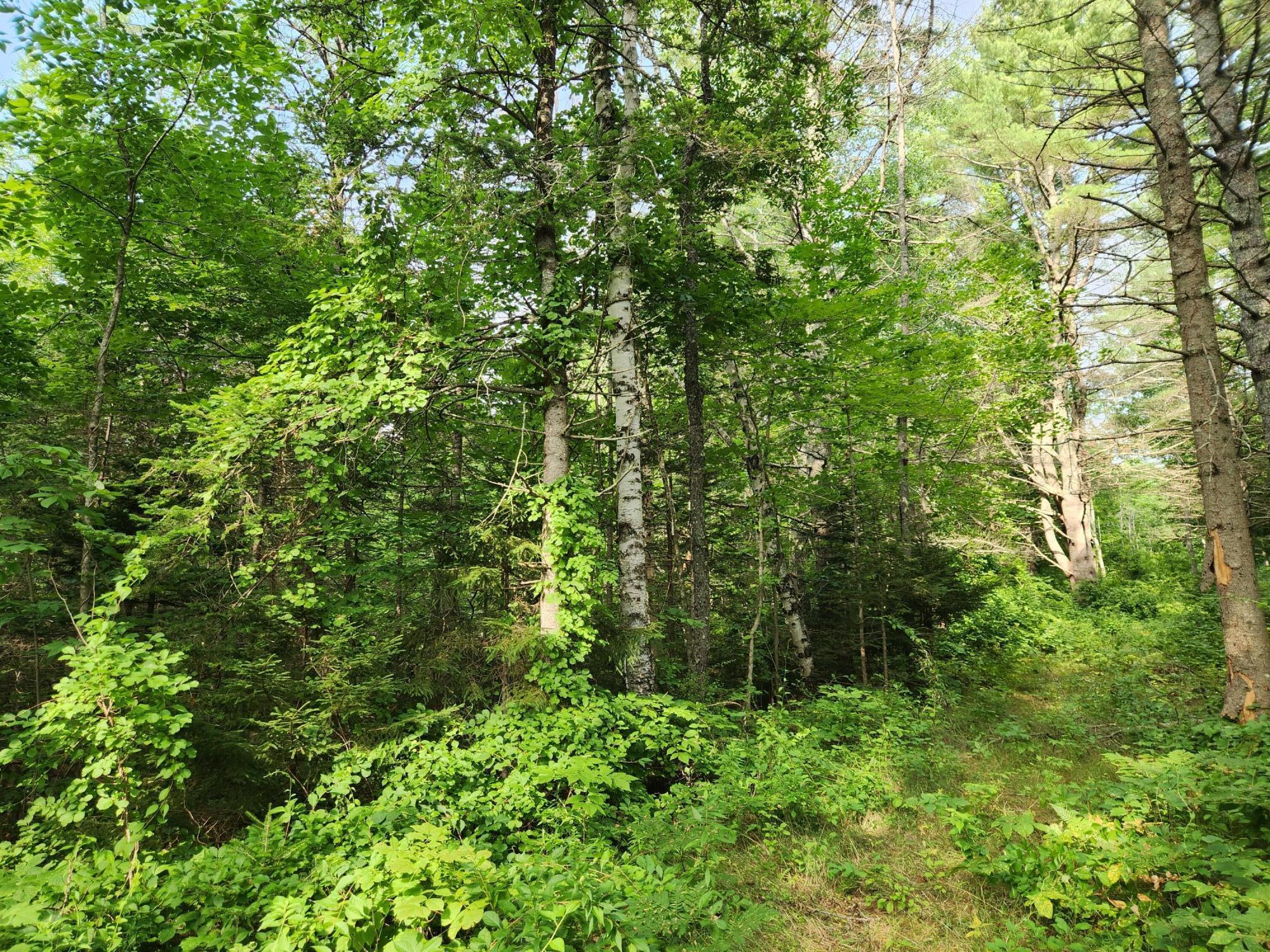 2851 Friendship Road Waldoboro ME 04572