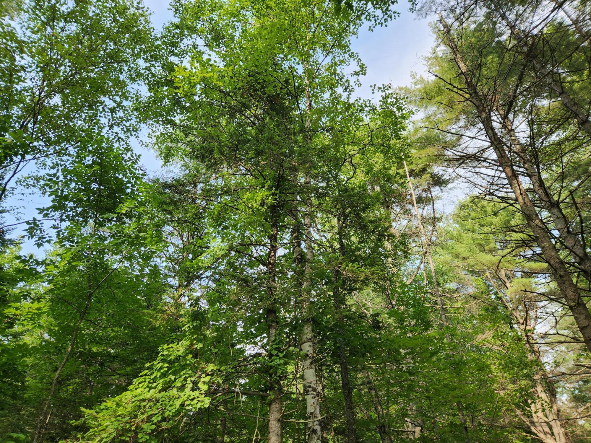 2851 Friendship Road Waldoboro ME 04572