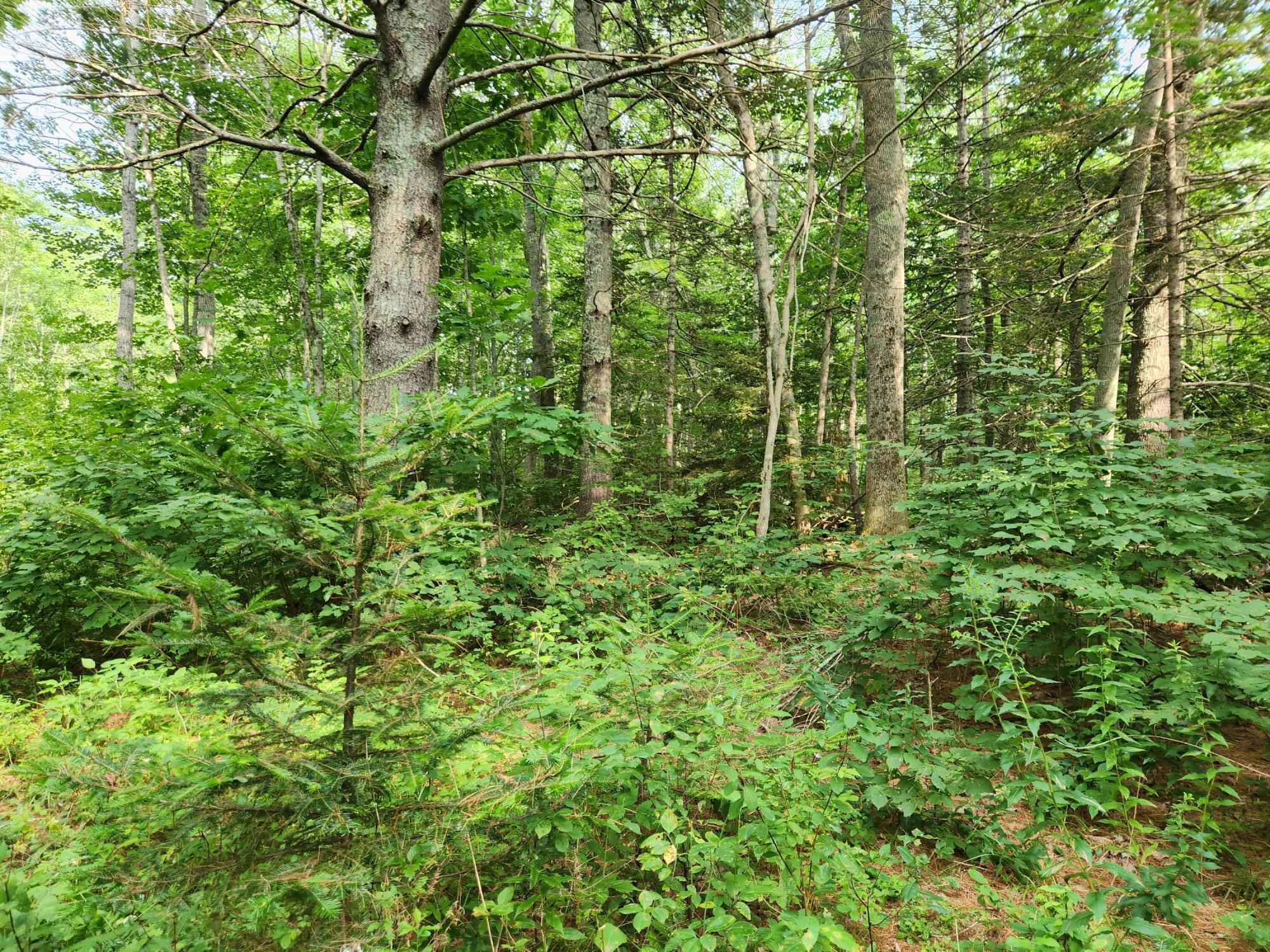 2851 Friendship Road Waldoboro ME 04572