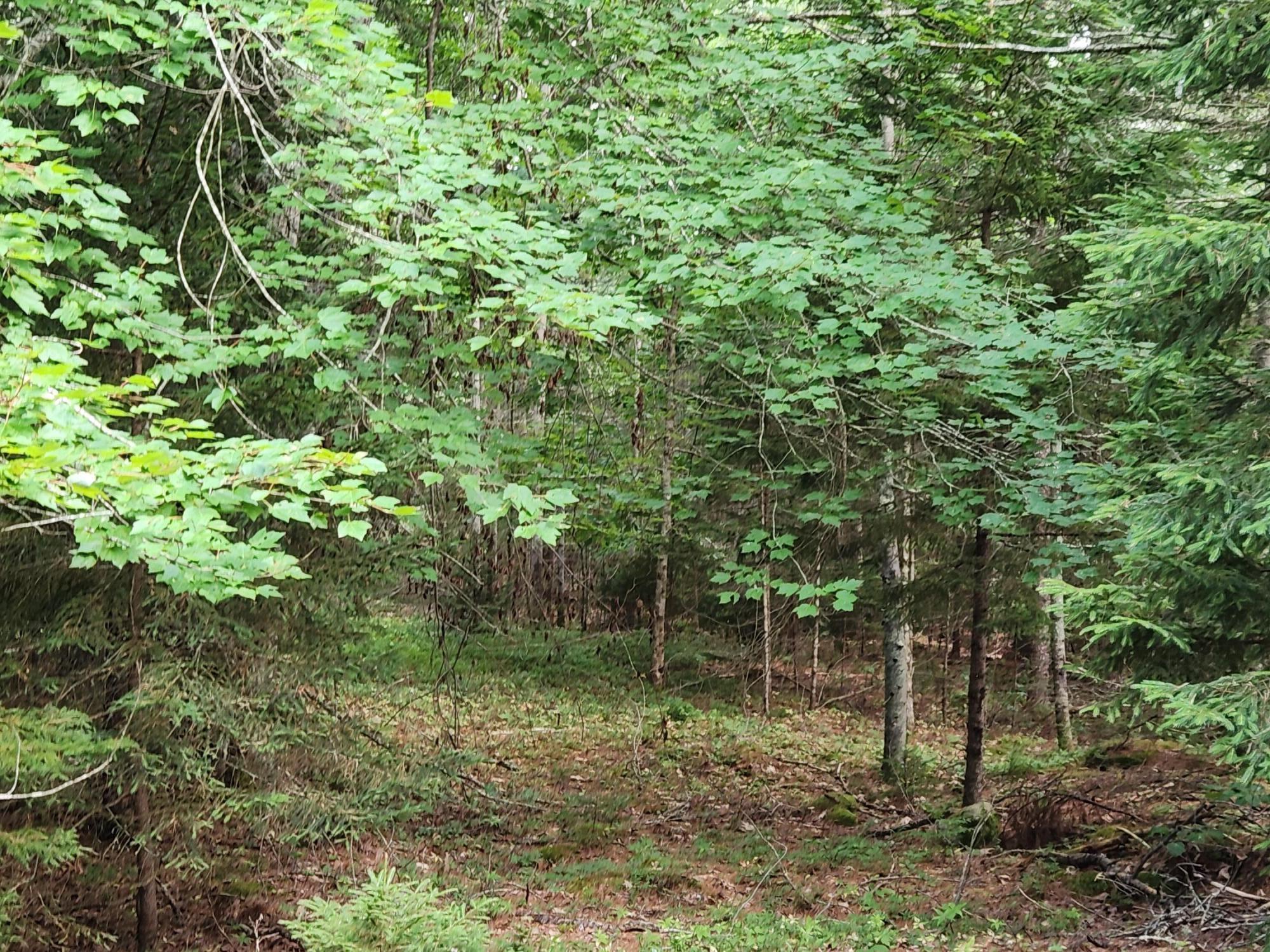 2851 Friendship Road Waldoboro ME 04572