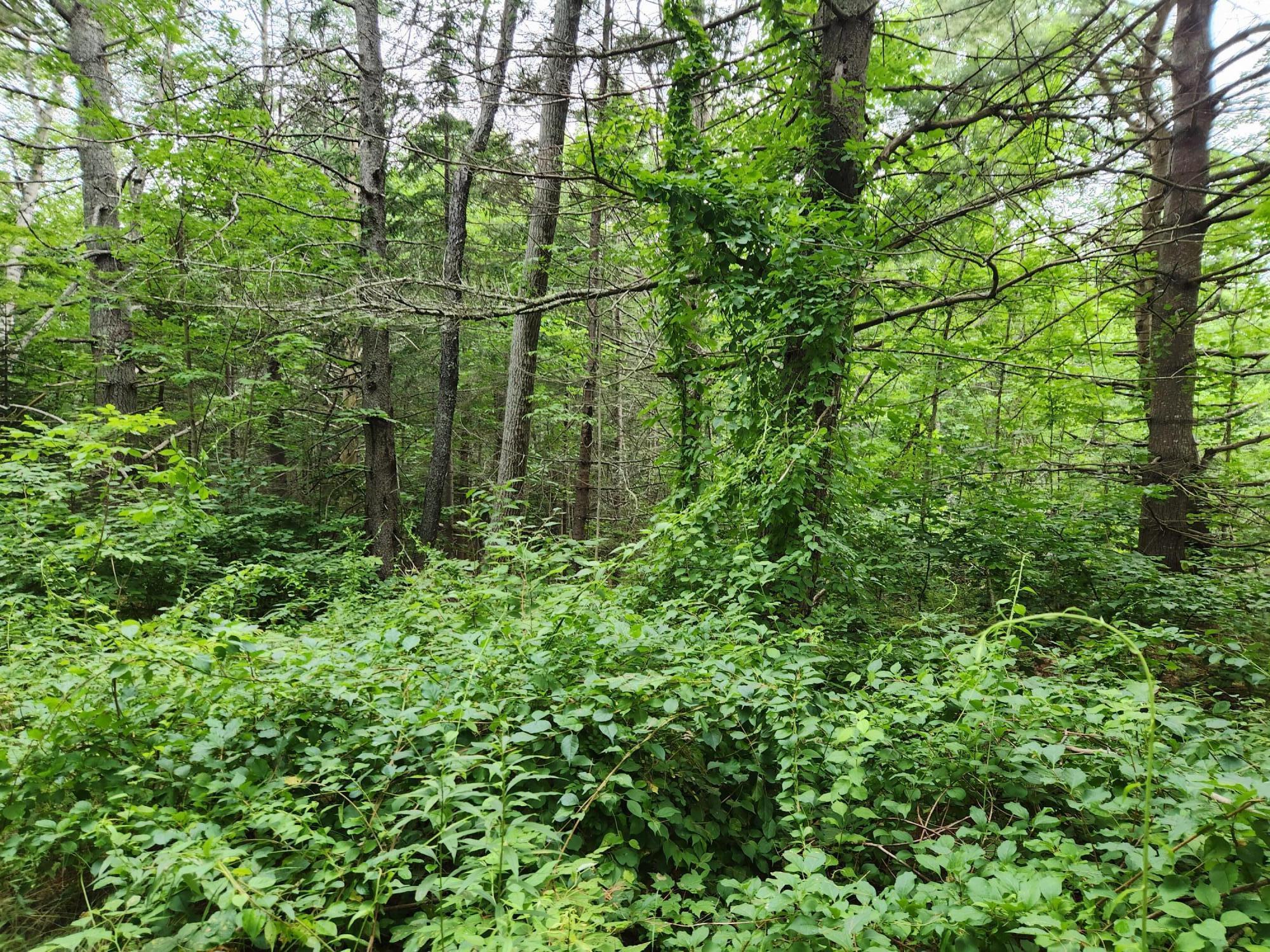 2851 Friendship Road Waldoboro ME 04572