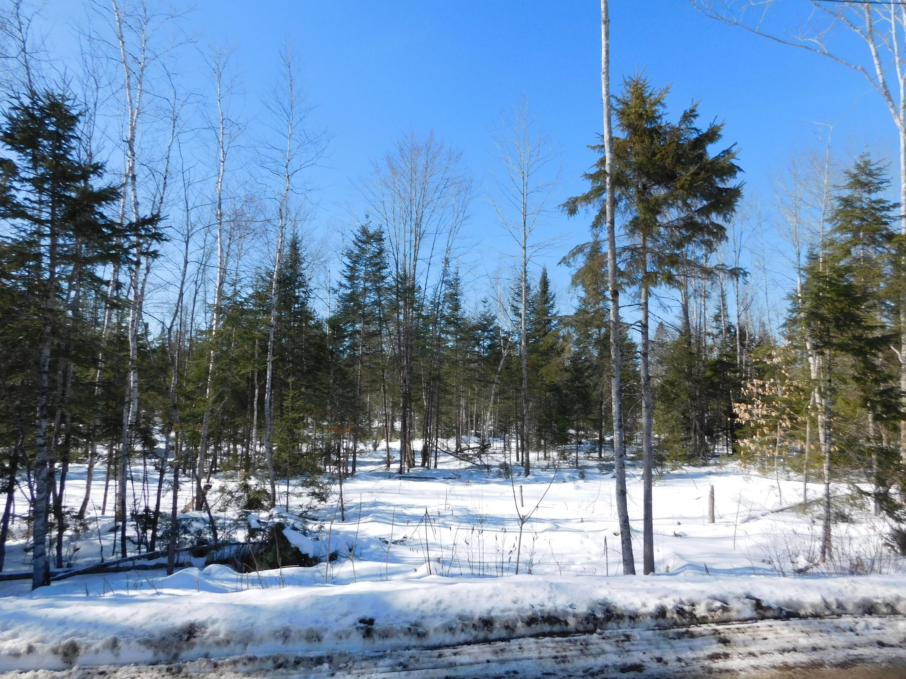 Lot # 2 Spring Bridge Road Greenbush ME 04418