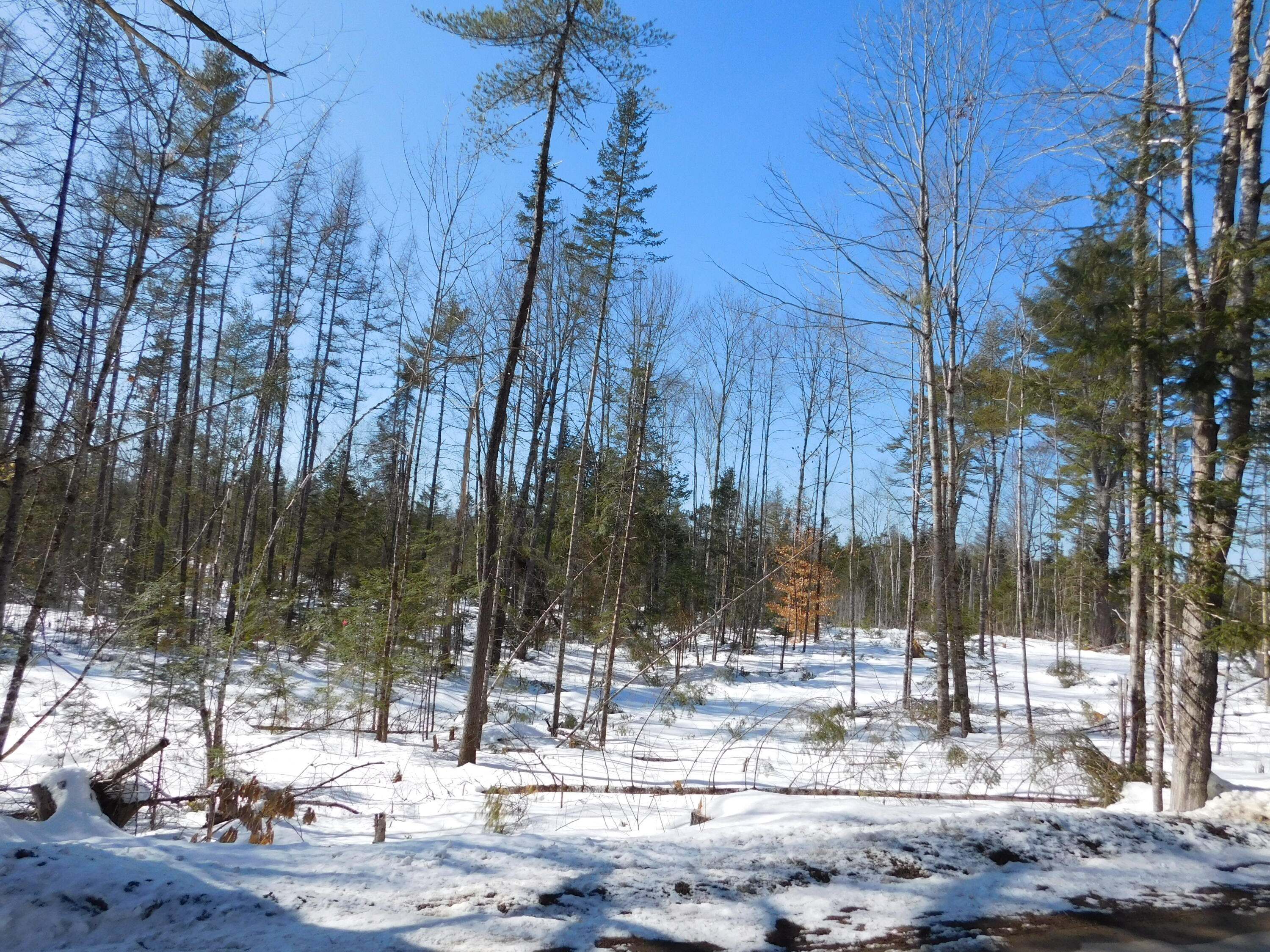 Lot # 2 Spring Bridge Road Greenbush ME 04418