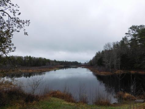 Lot # 2 Spring Bridge Road Greenbush ME 04418