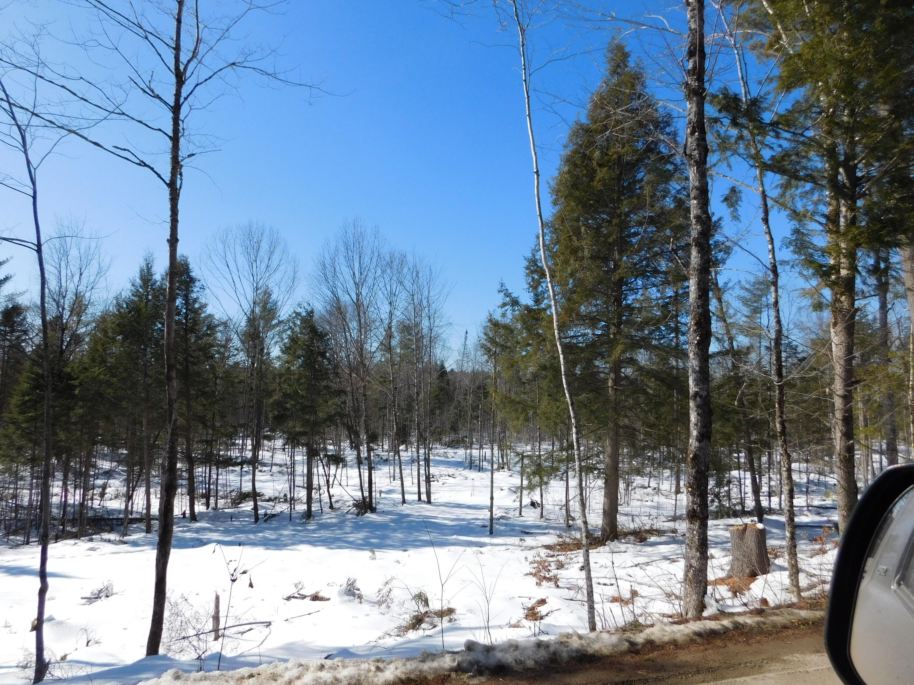 Lot # 2 Spring Bridge Road Greenbush ME 04418
