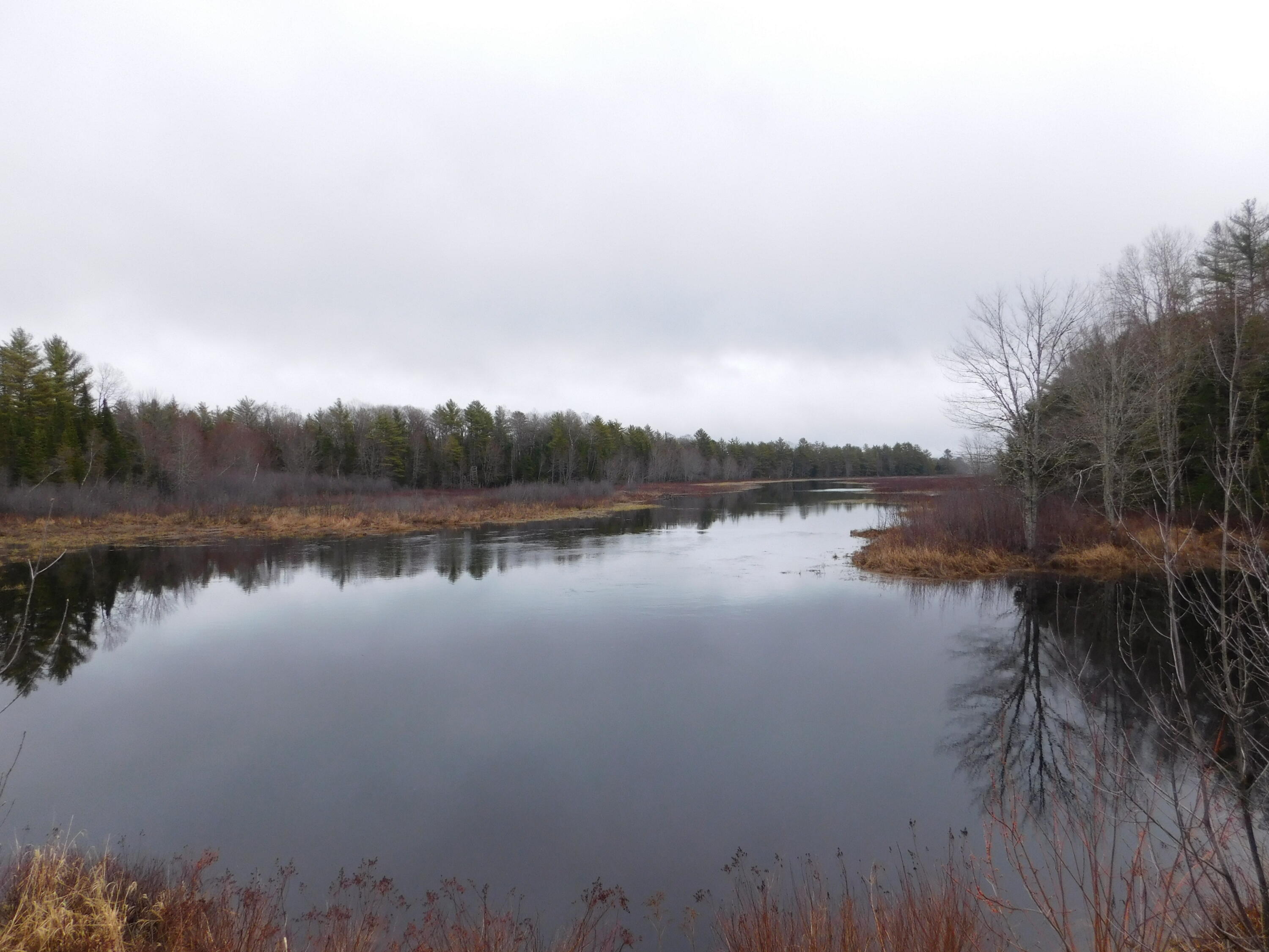 Lot # 2 Spring Bridge Road Greenbush ME 04418