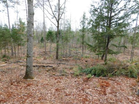 Lot # 2 Spring Bridge Road Greenbush ME 04418
