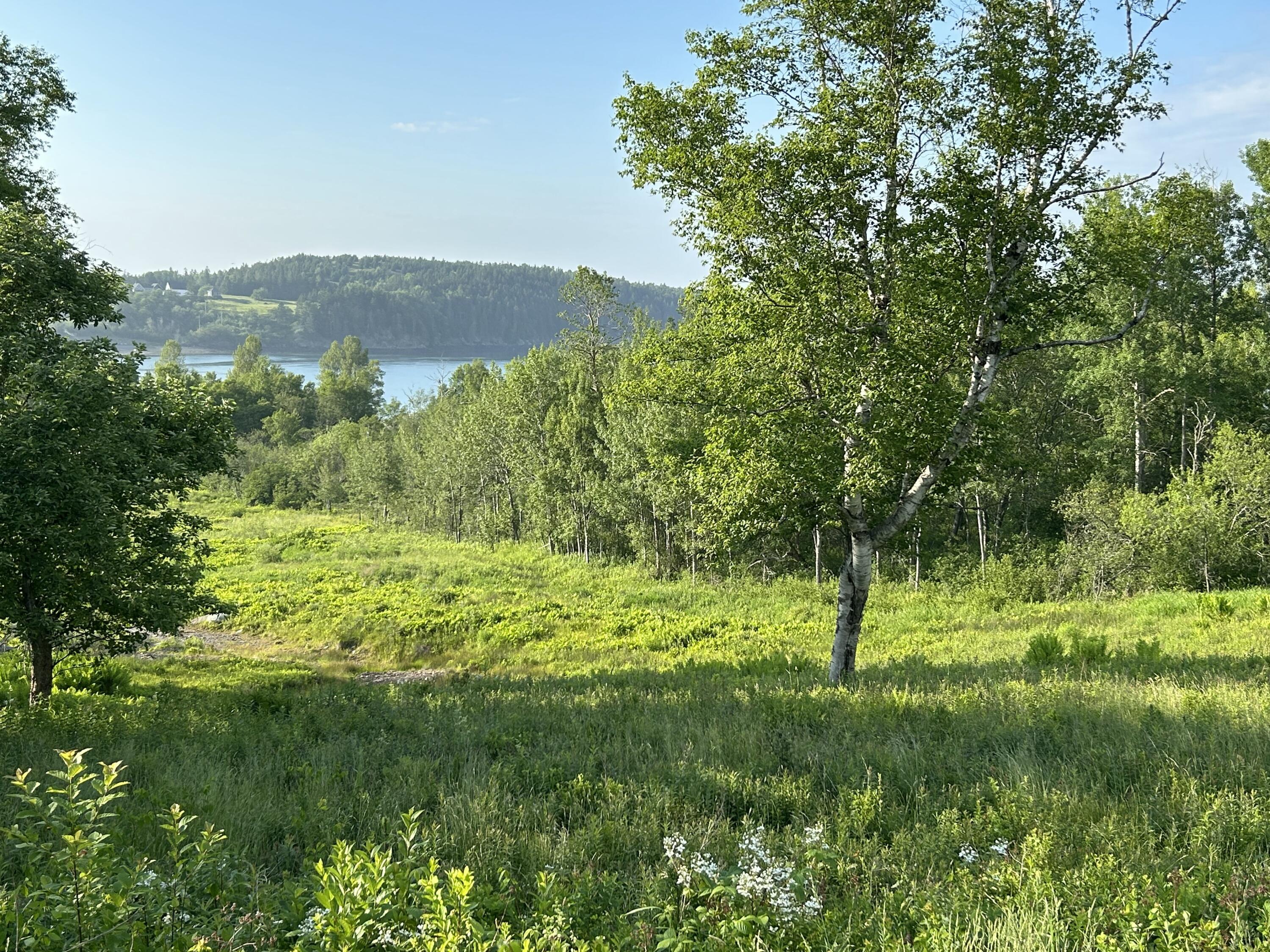 27 Redoubt Hill Road Eastport ME 04631