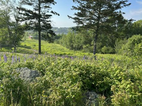 27 Redoubt Hill Road Eastport ME 04631