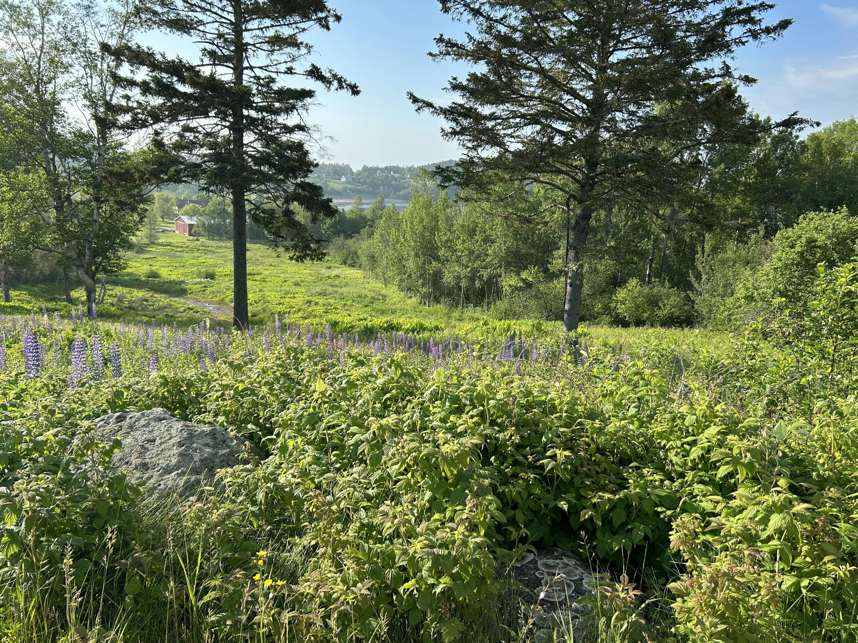 27 Redoubt Hill Road Eastport ME 04631