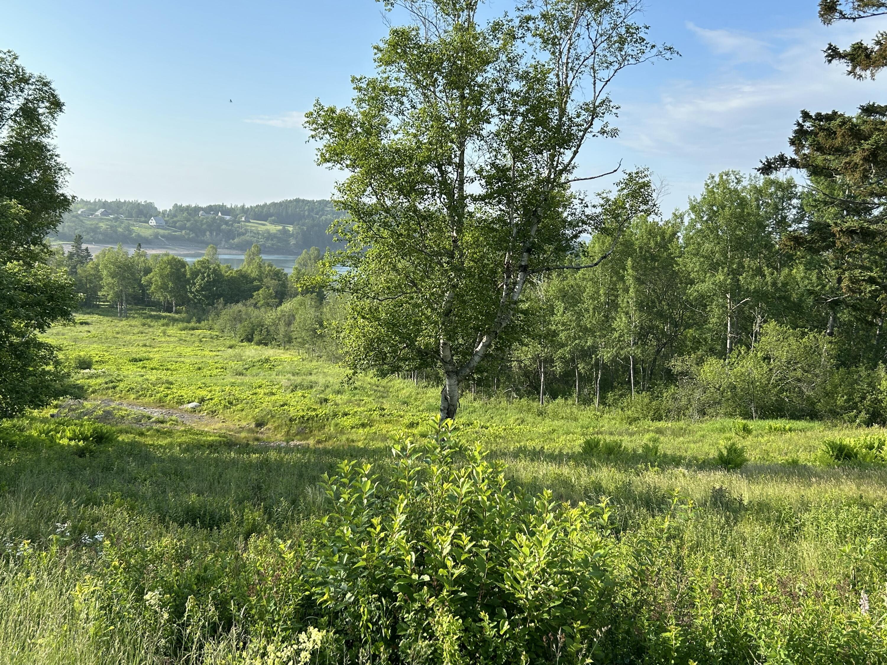 27 Redoubt Hill Road Eastport ME 04631