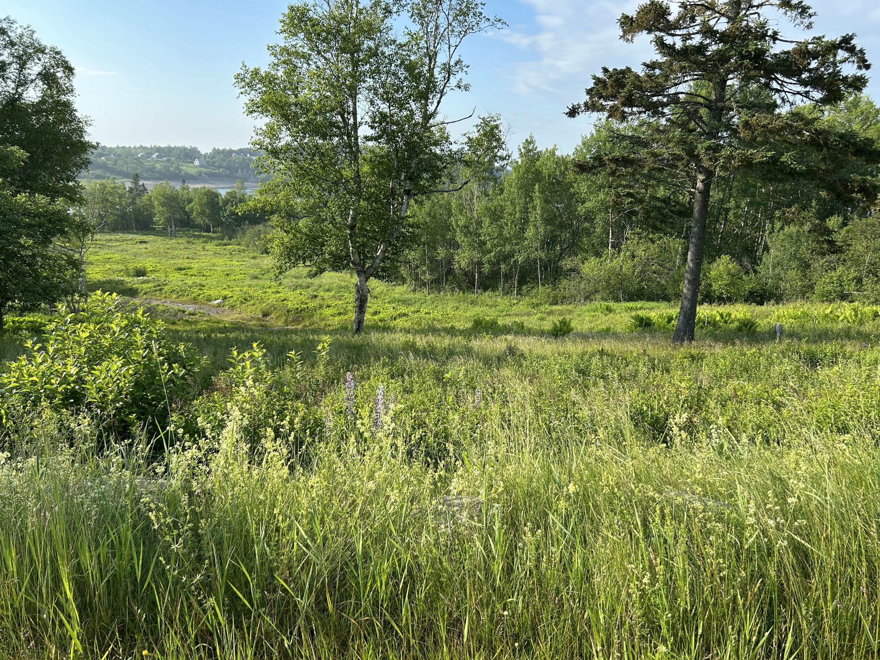 27 Redoubt Hill Road Eastport ME 04631