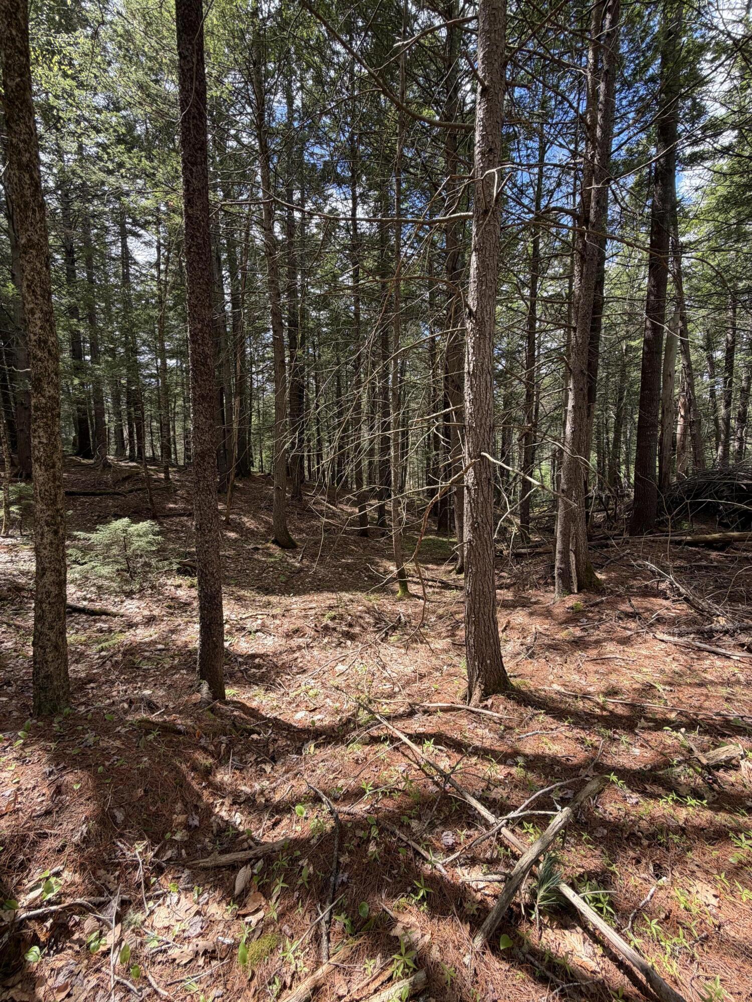 108B Flying Point Road Freeport ME 04032