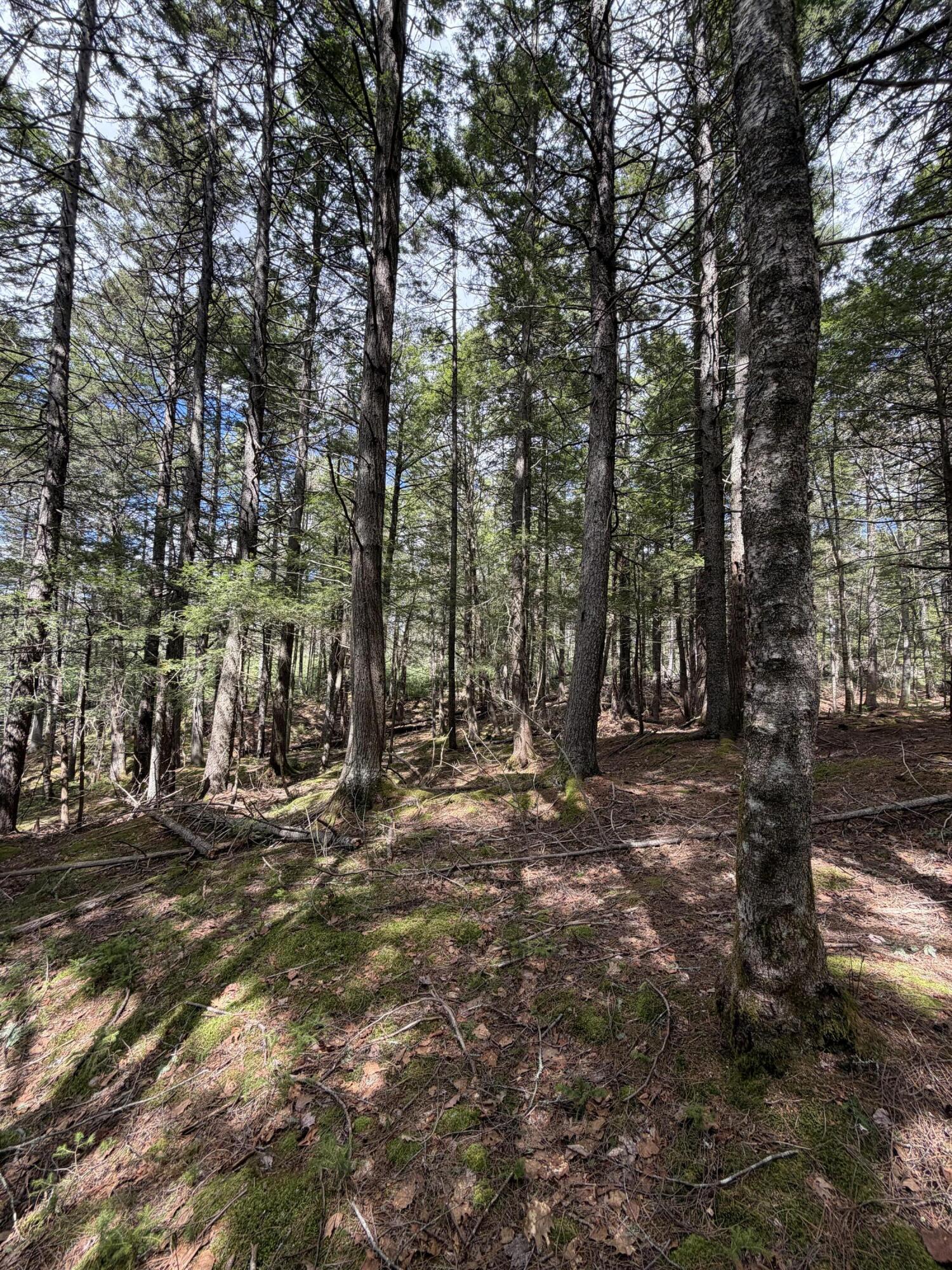 108B Flying Point Road Freeport ME 04032