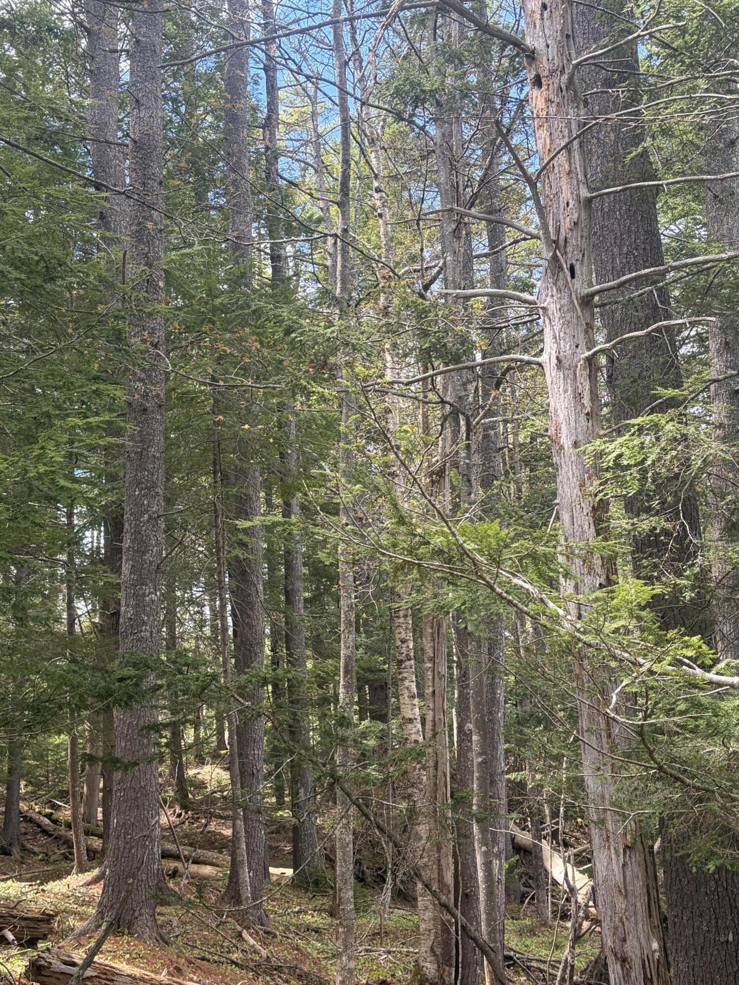 108B Flying Point Road Freeport ME 04032