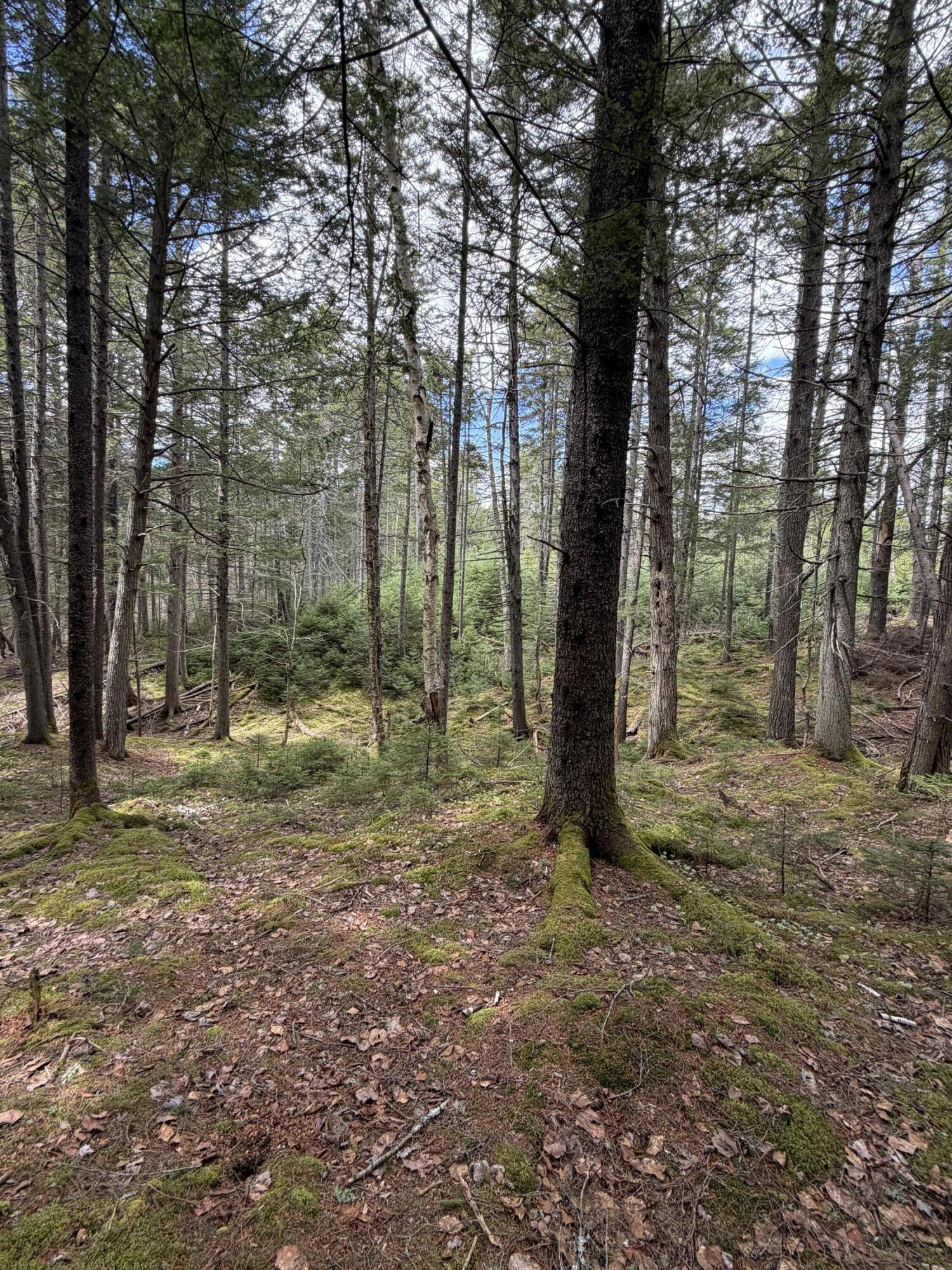 108B Flying Point Road Freeport ME 04032