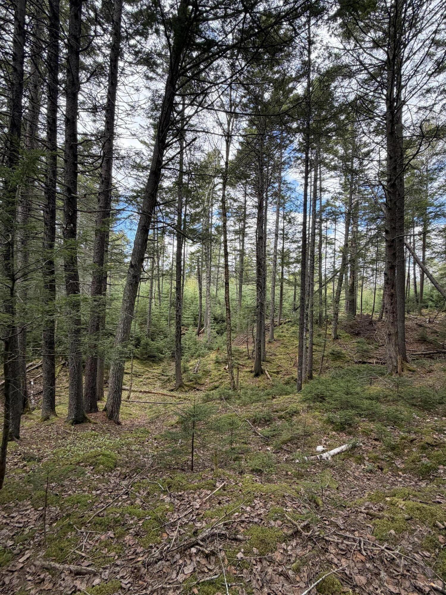 108B Flying Point Road Freeport ME 04032
