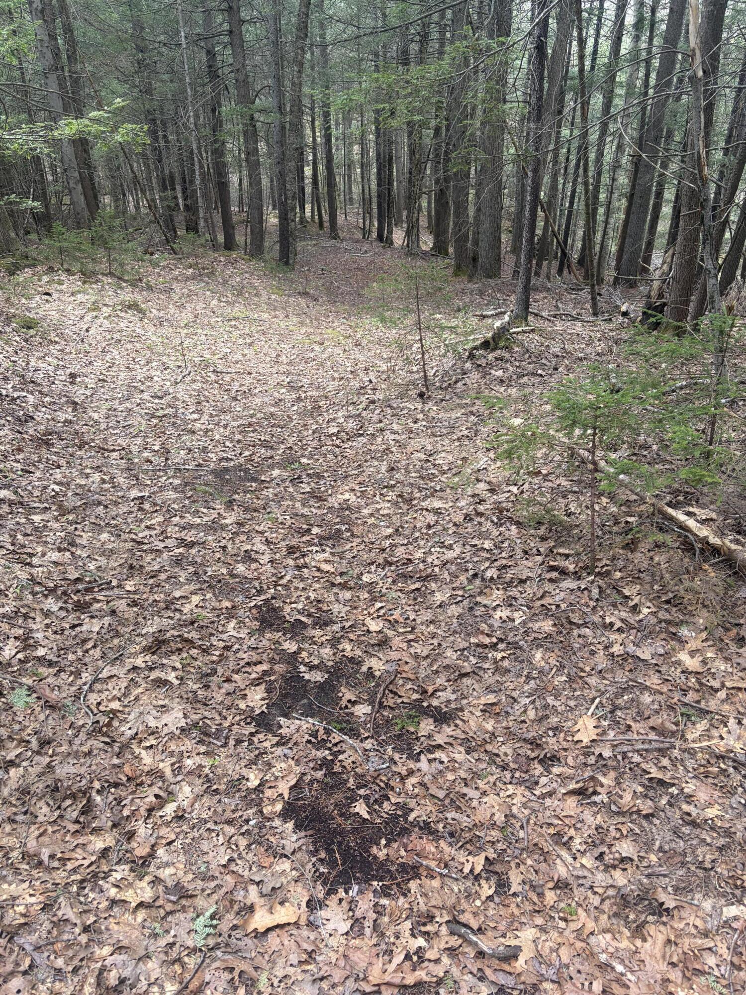 108B Flying Point Road Freeport ME 04032