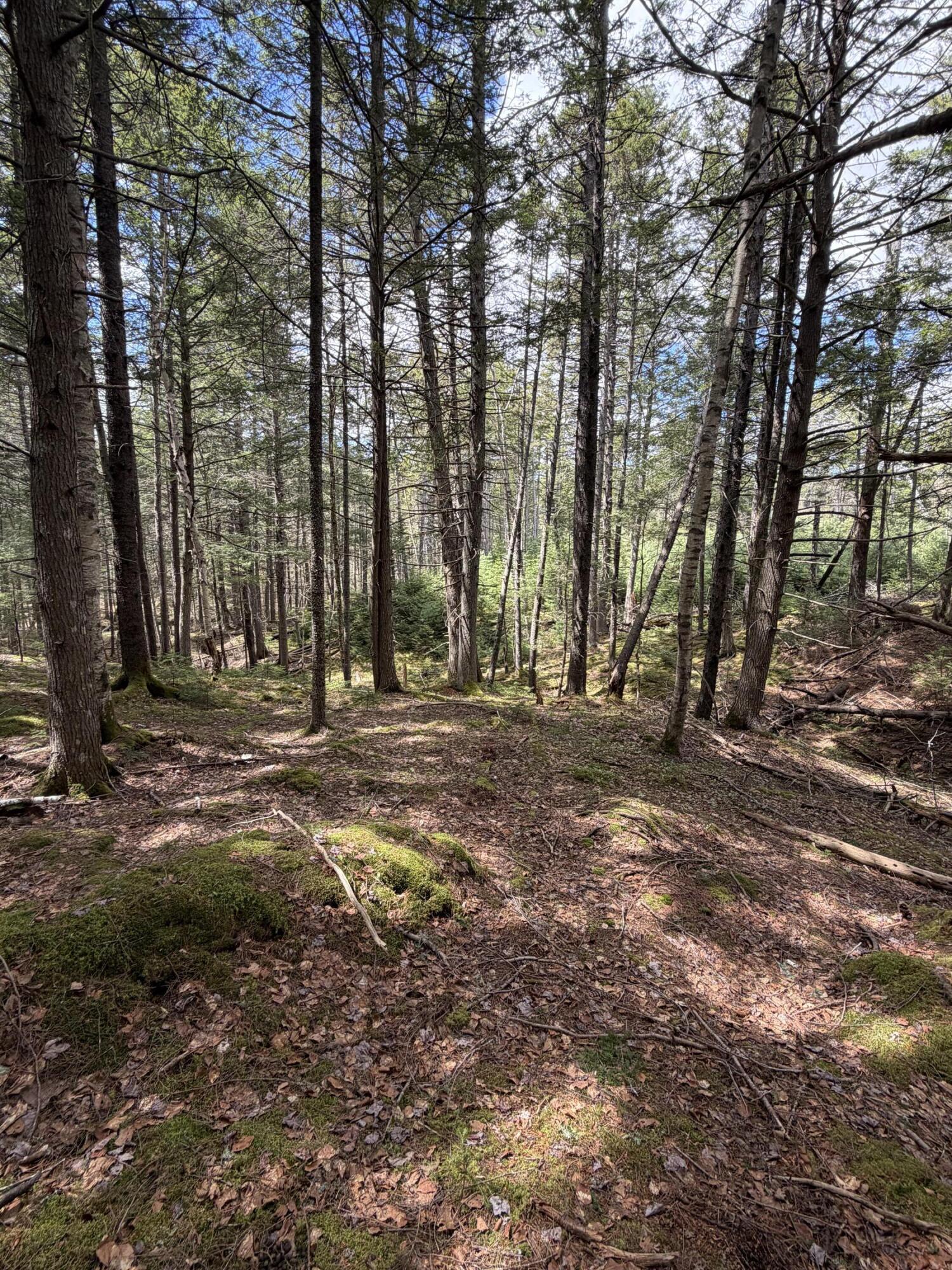 108B Flying Point Road Freeport ME 04032
