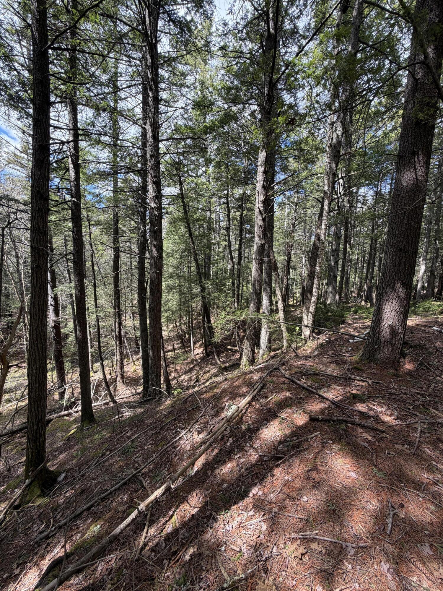 108B Flying Point Road Freeport ME 04032