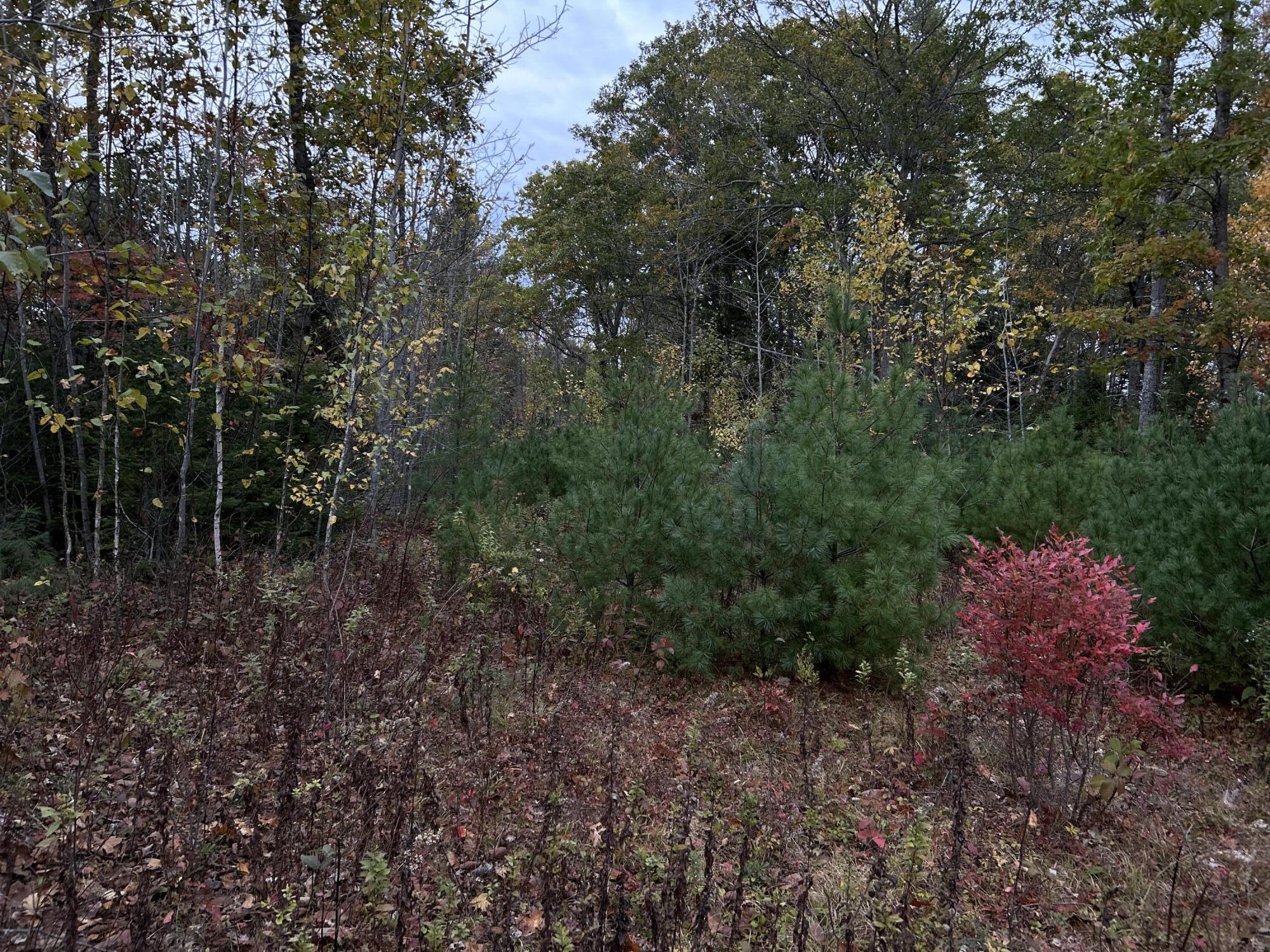 401 Genthner Road Waldoboro ME 04572