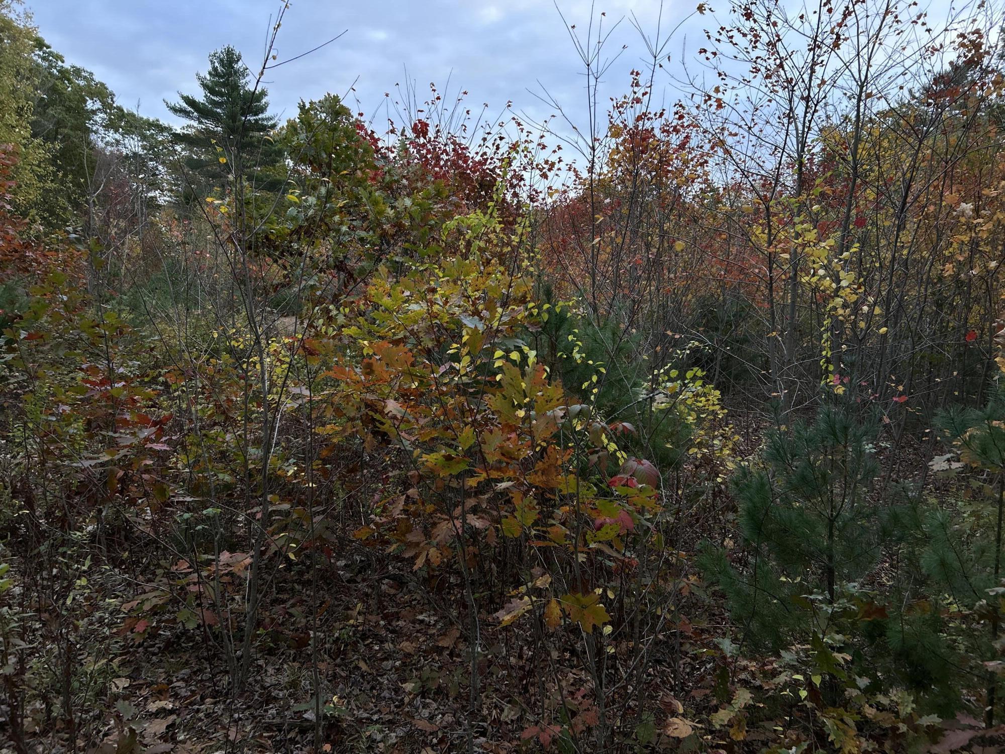 401 Genthner Road Waldoboro ME 04572