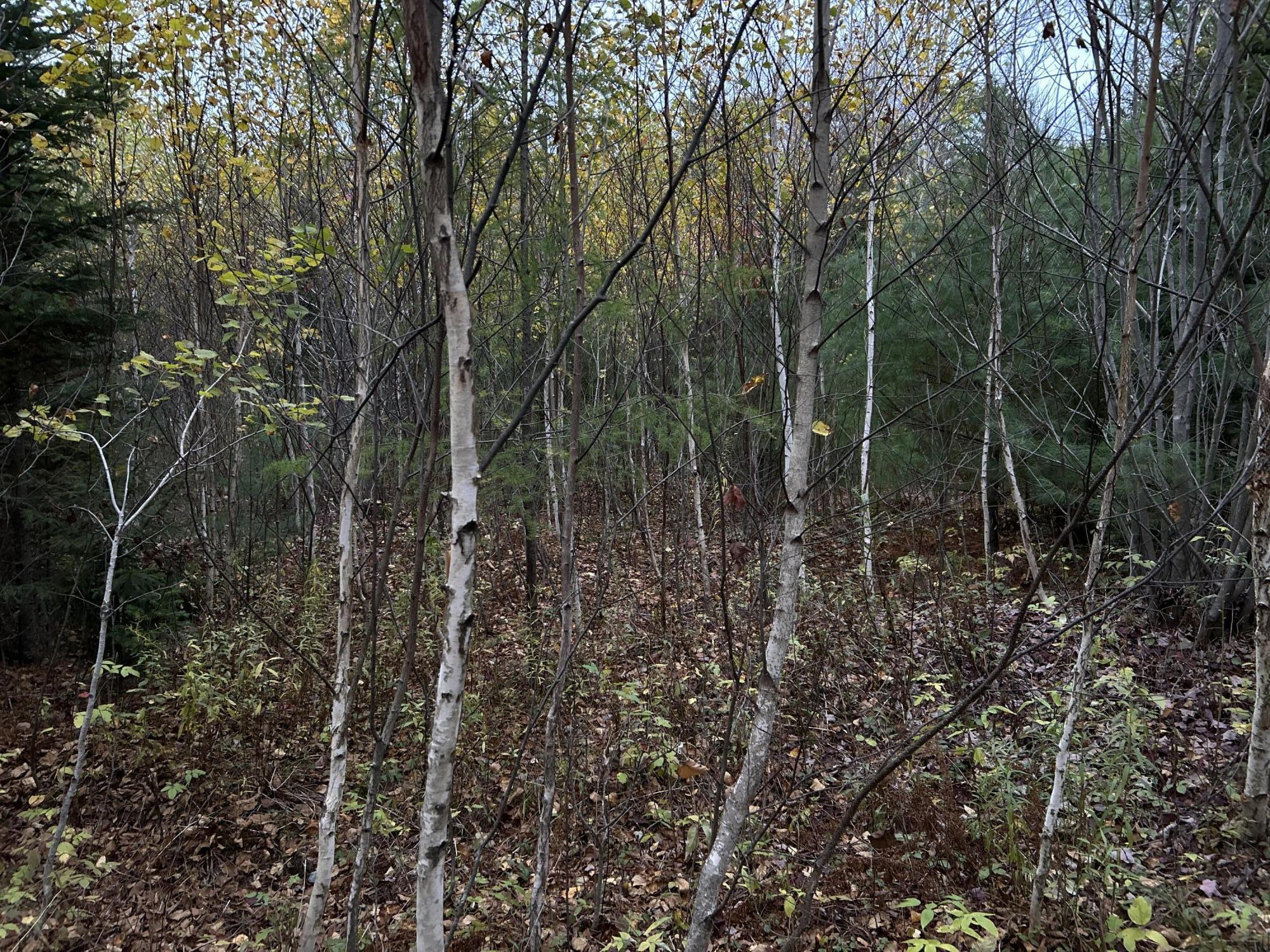 401 Genthner Road Waldoboro ME 04572