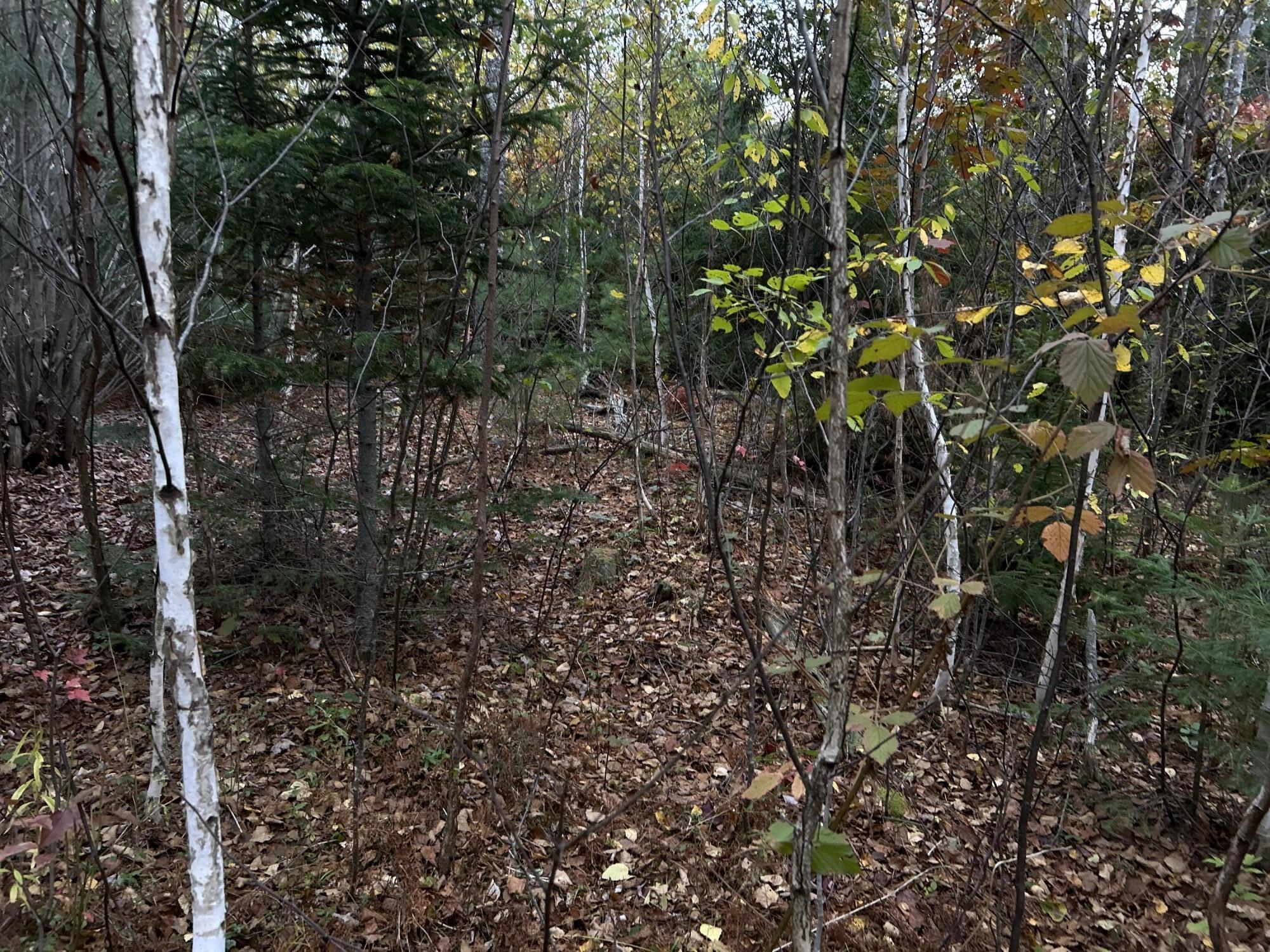 401 Genthner Road Waldoboro ME 04572