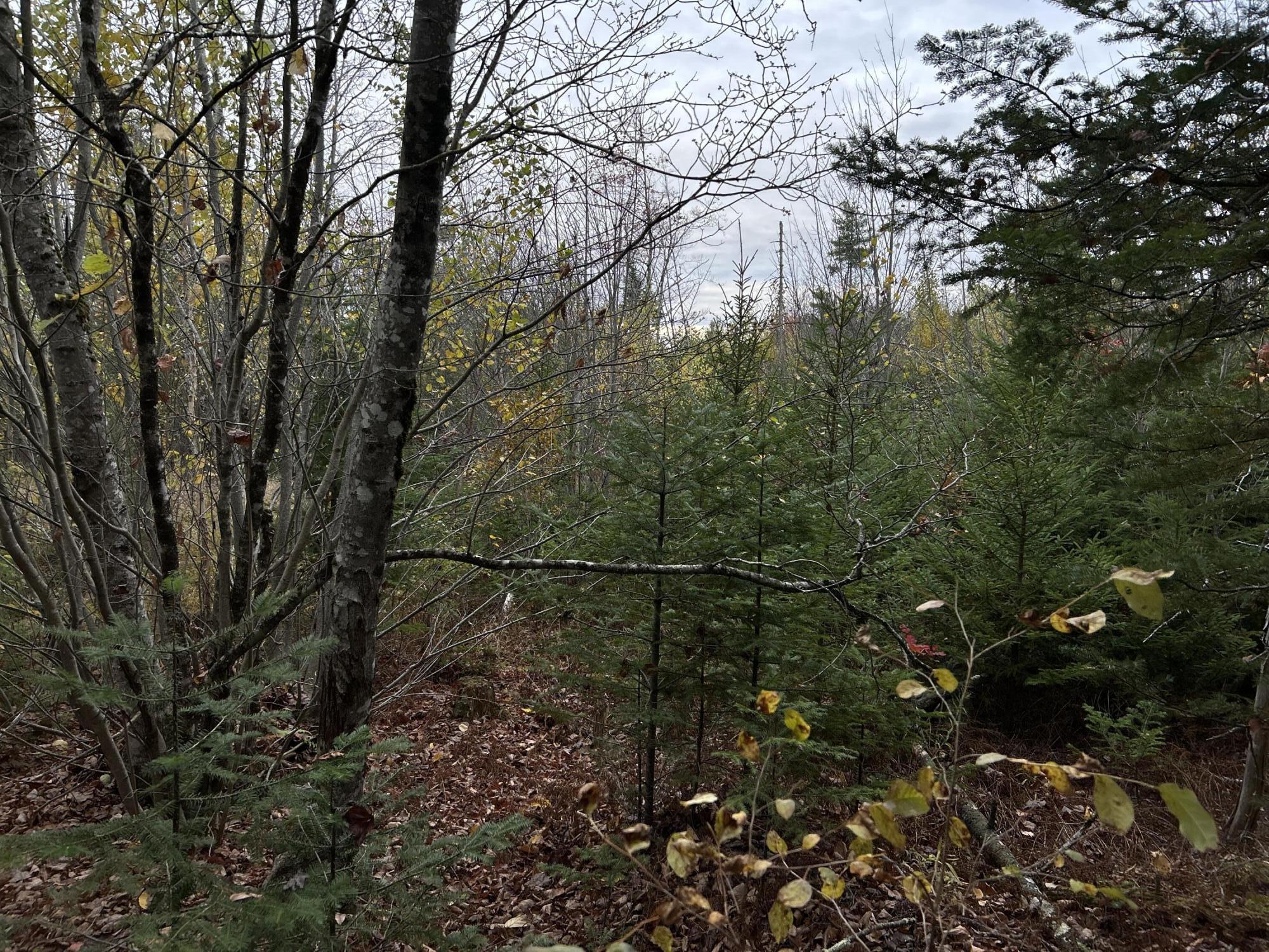 401 Genthner Road Waldoboro ME 04572