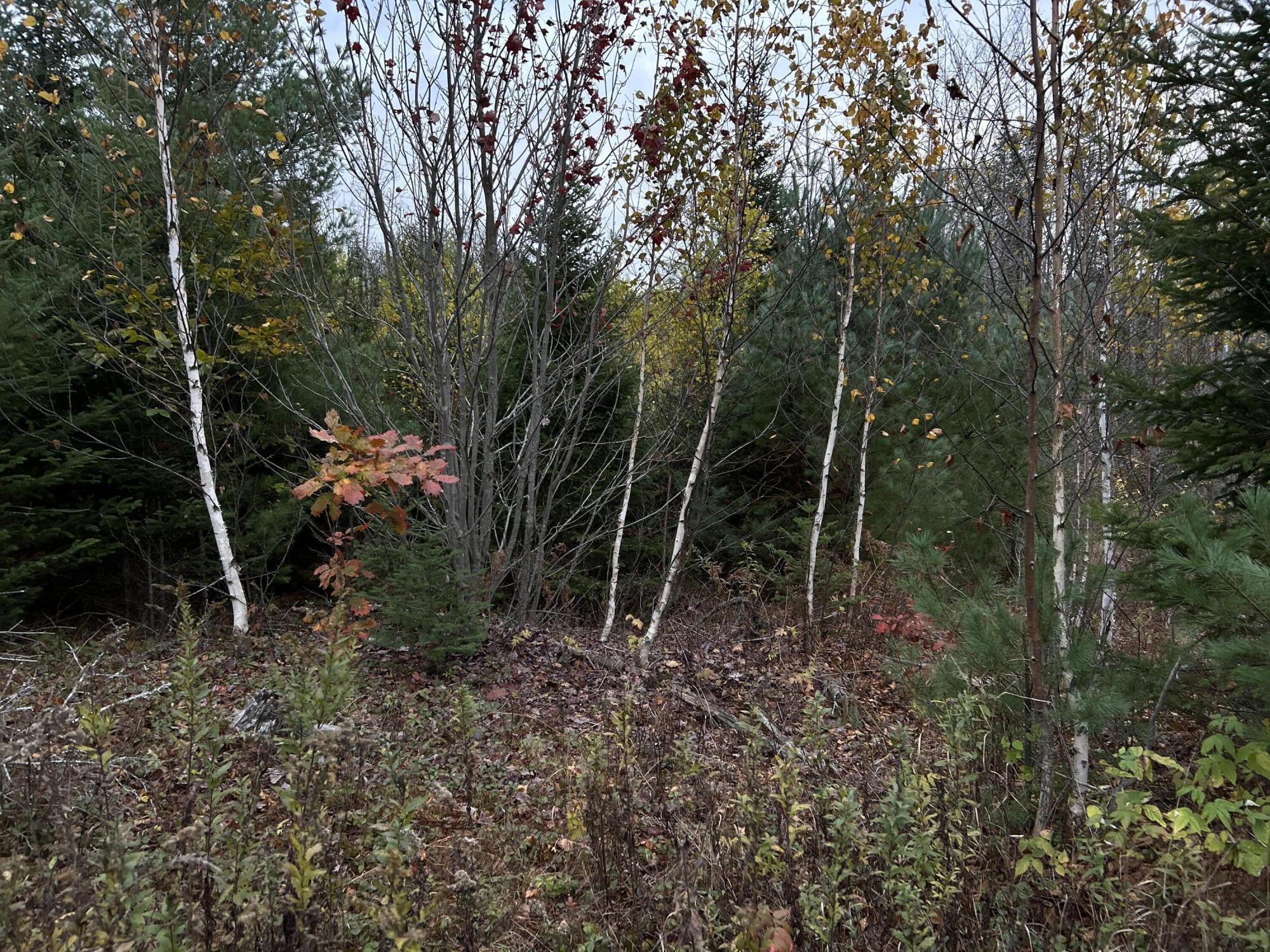 401 Genthner Road Waldoboro ME 04572